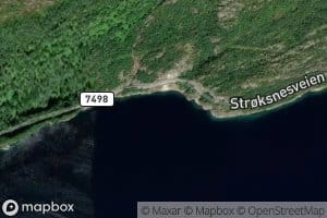 Daudmannvika