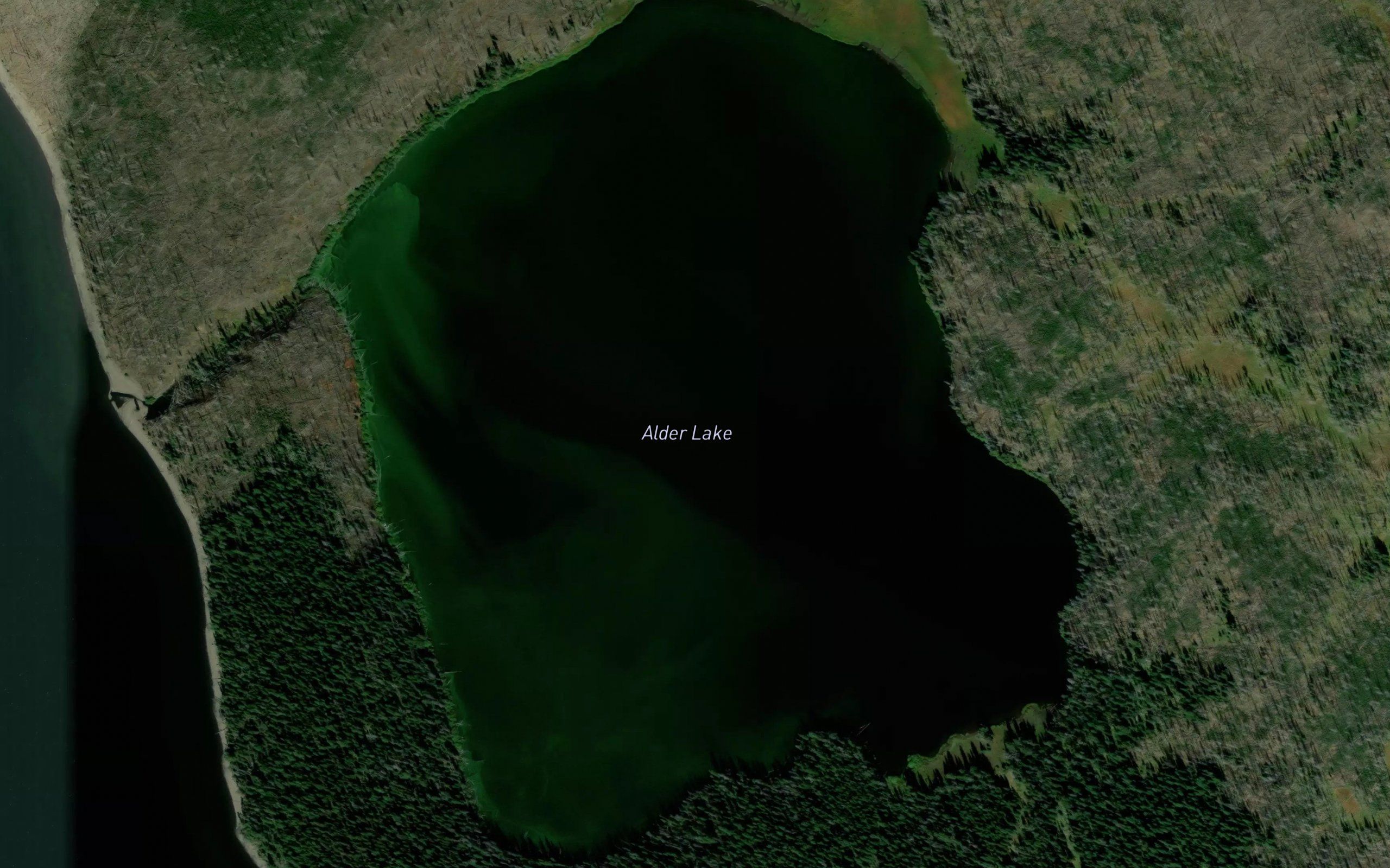 Alder Lake