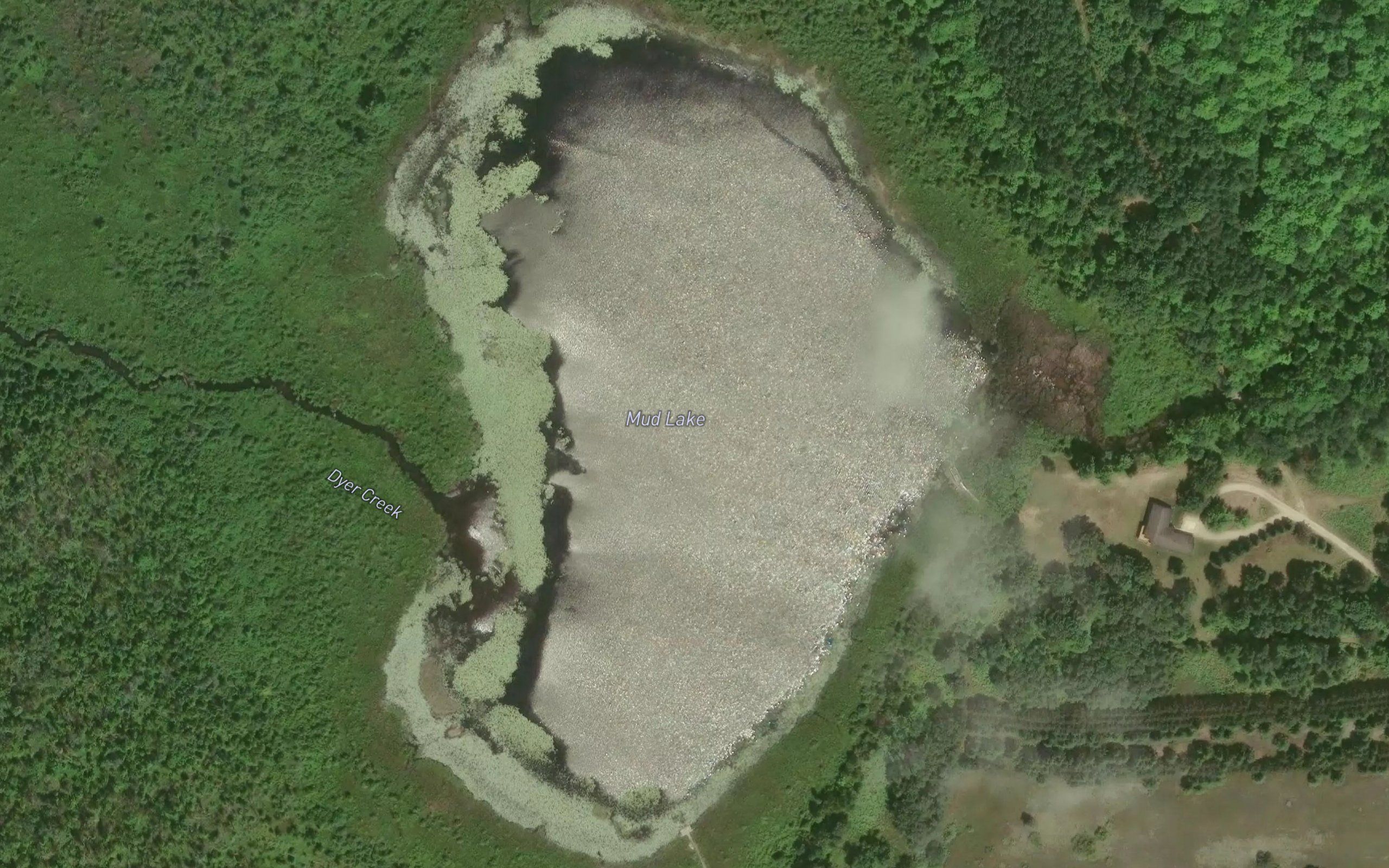 Mud Lake