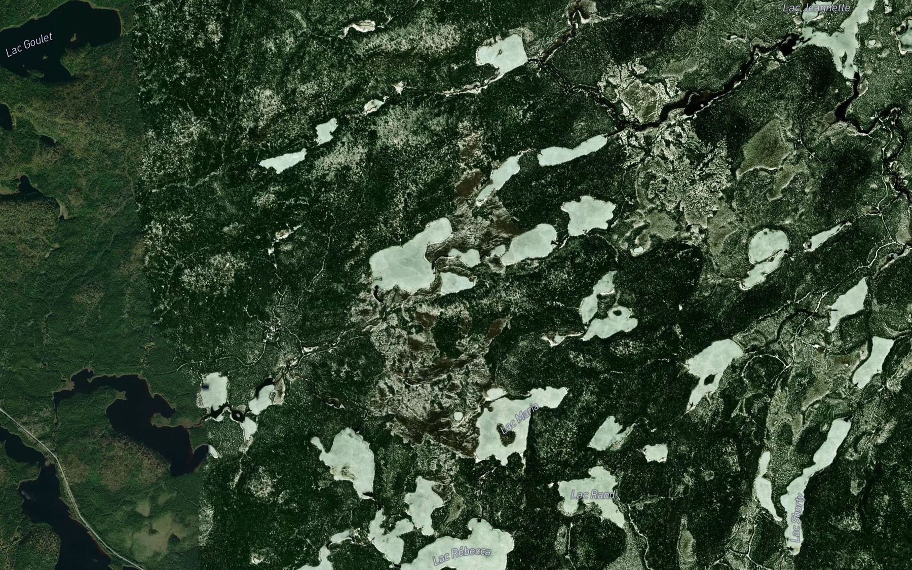 Satellite map of the Lac du Spatangue