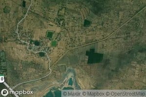 Distributary Number Fifteen