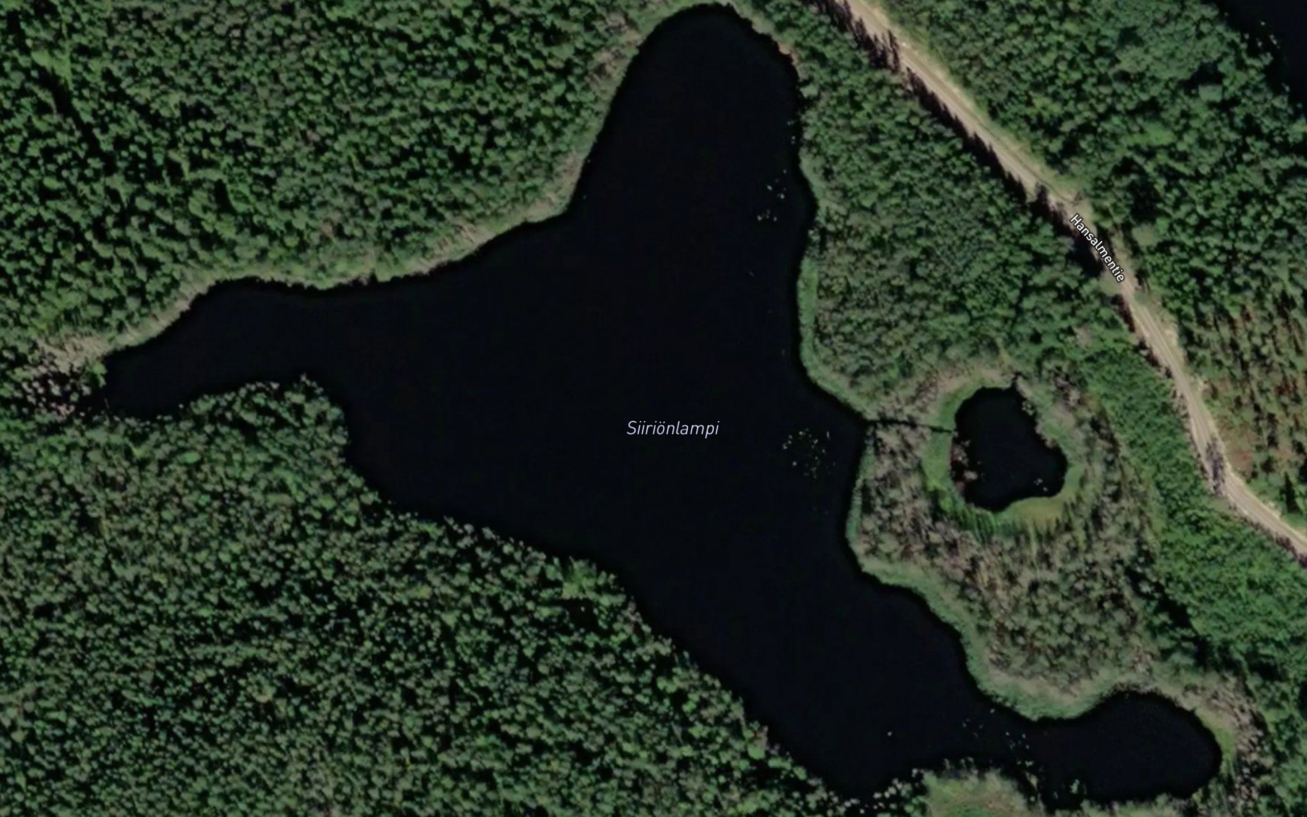 Siirionlampi