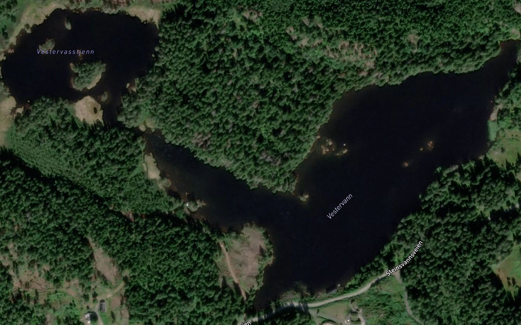 Satellite map of the Vestervann
