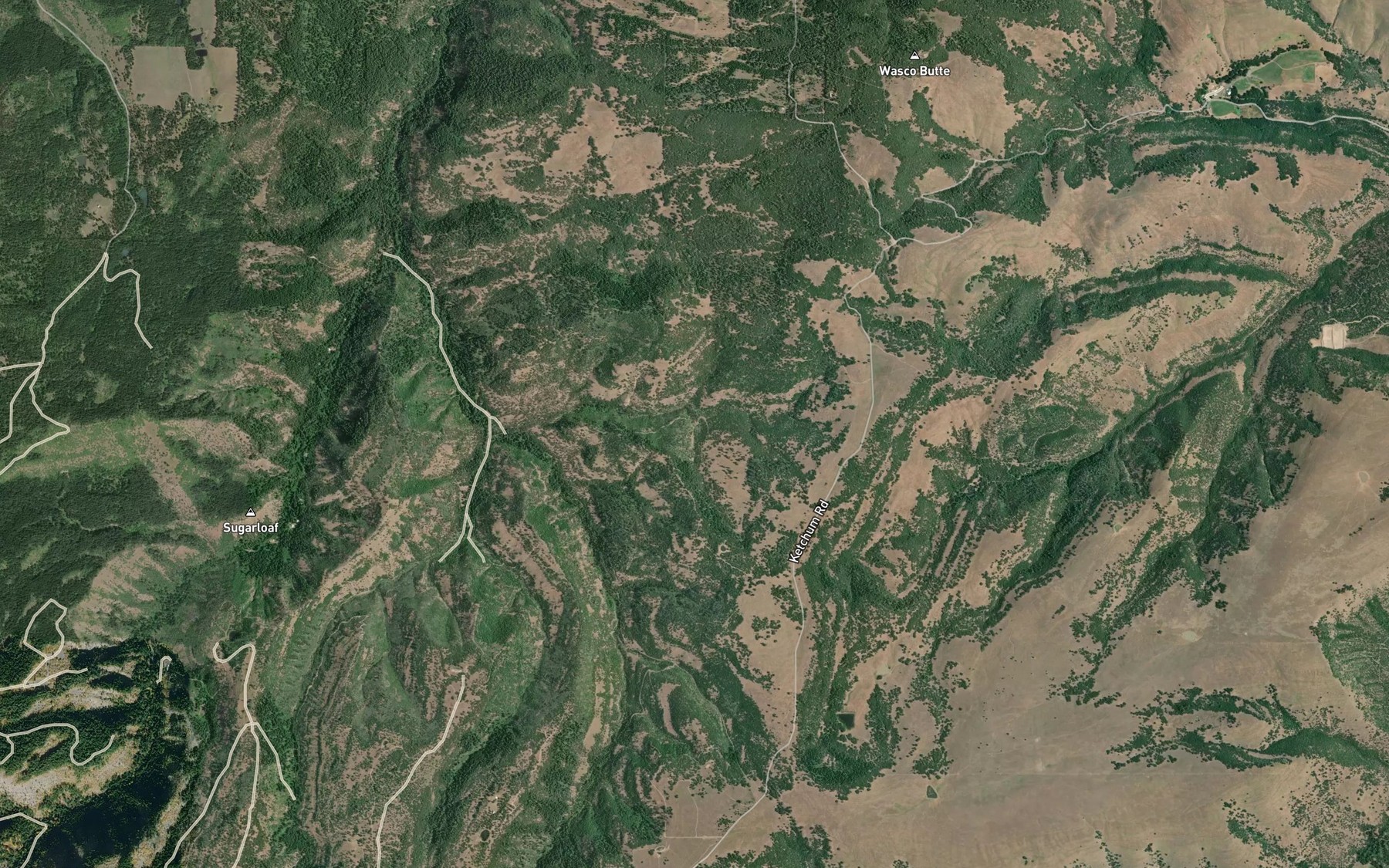 Satellite map of the Martin Spring