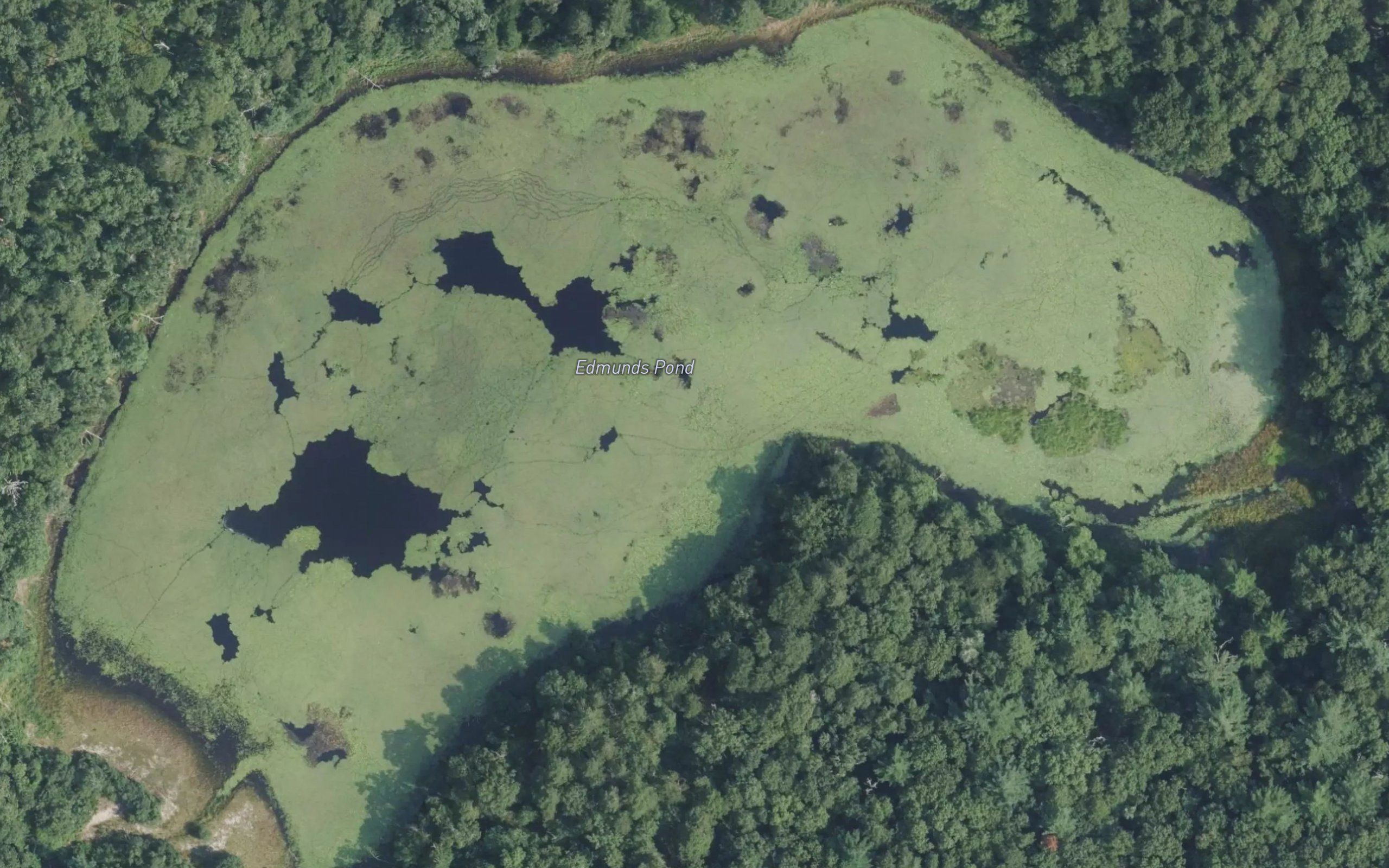 Edmunds Pond