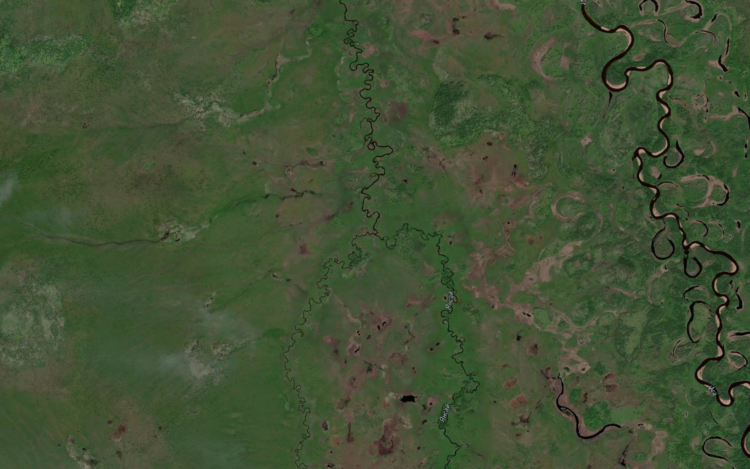 Zvonkiy