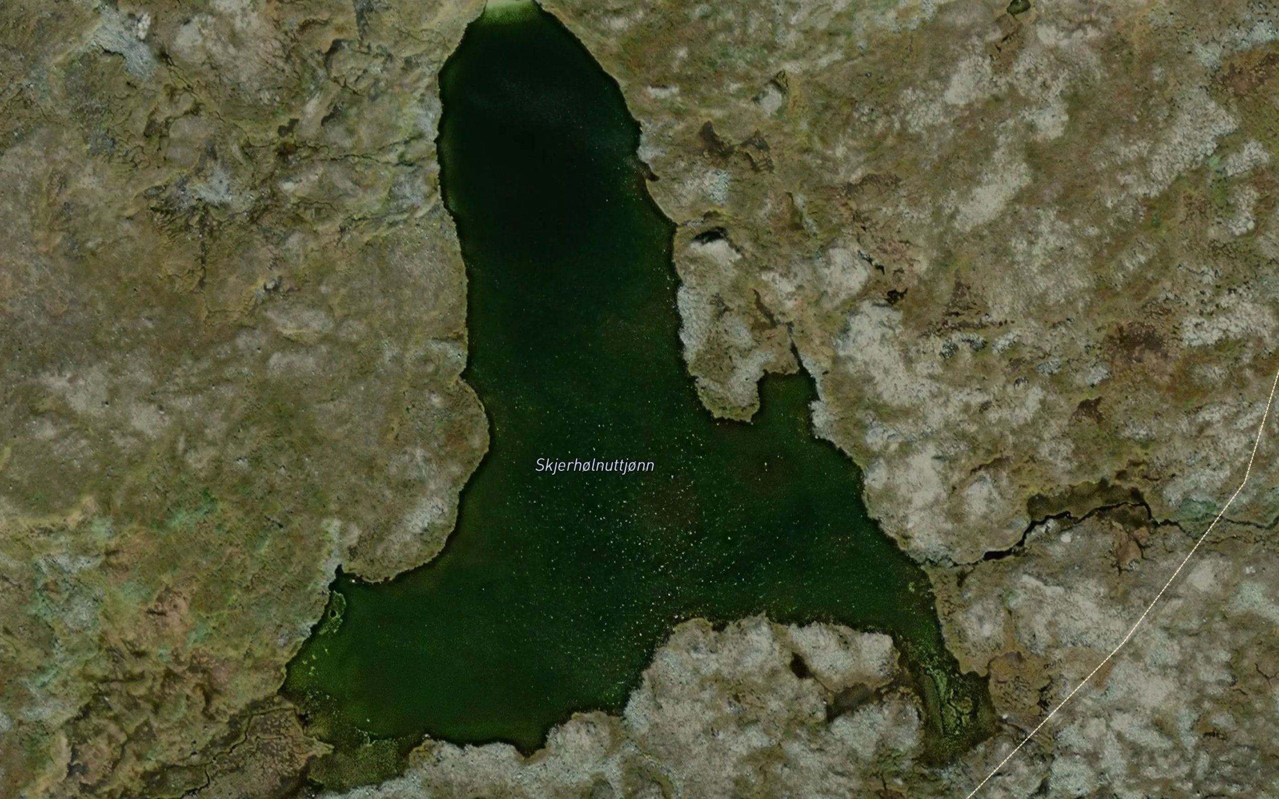 Skjerholnuttjonn