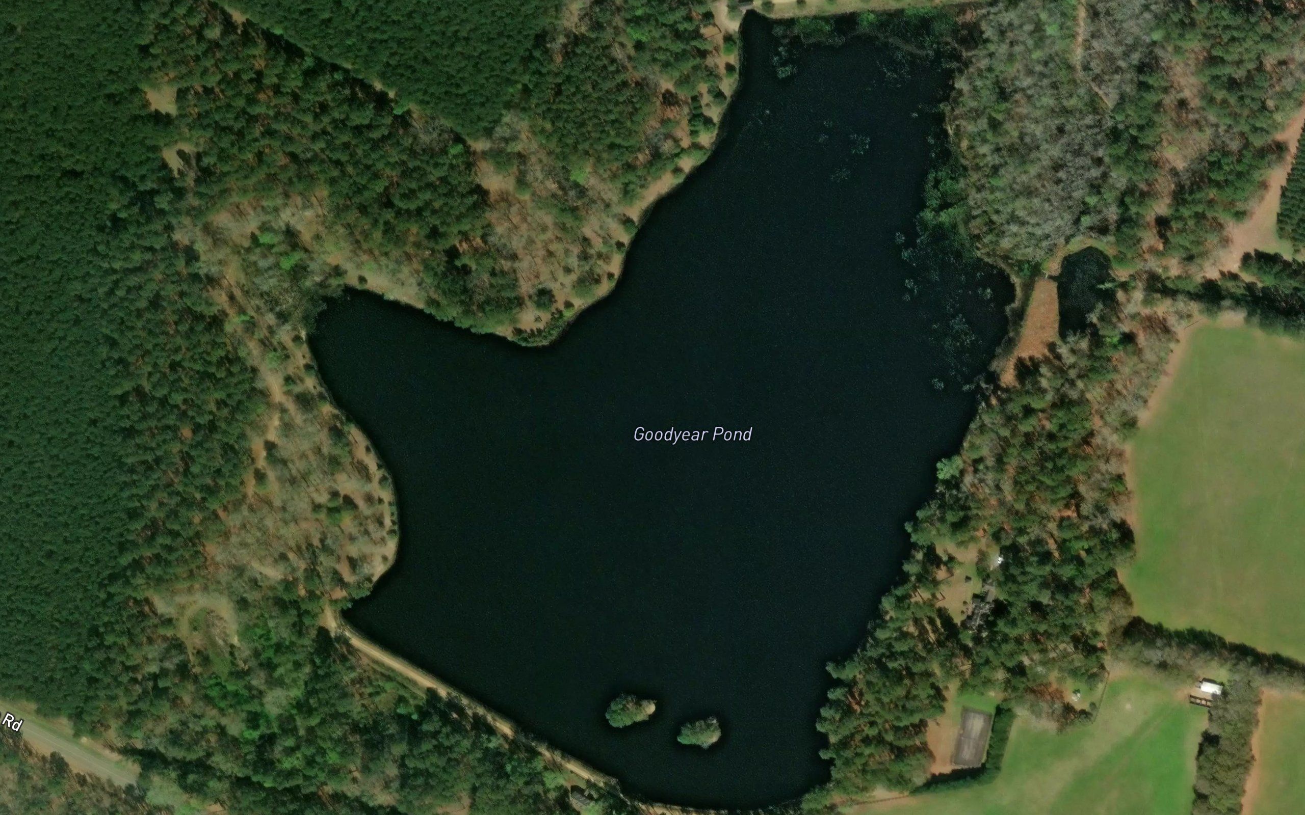 Goodyear Pond