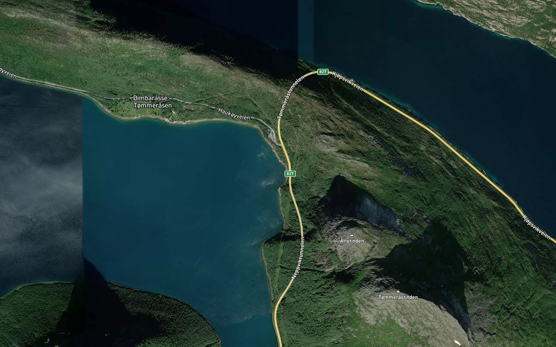 Satellite map of the Neppvika