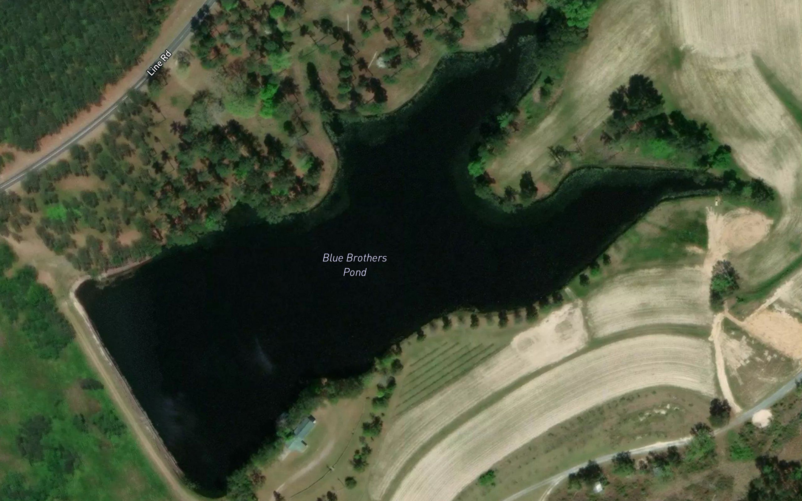 Blue Brothers Pond