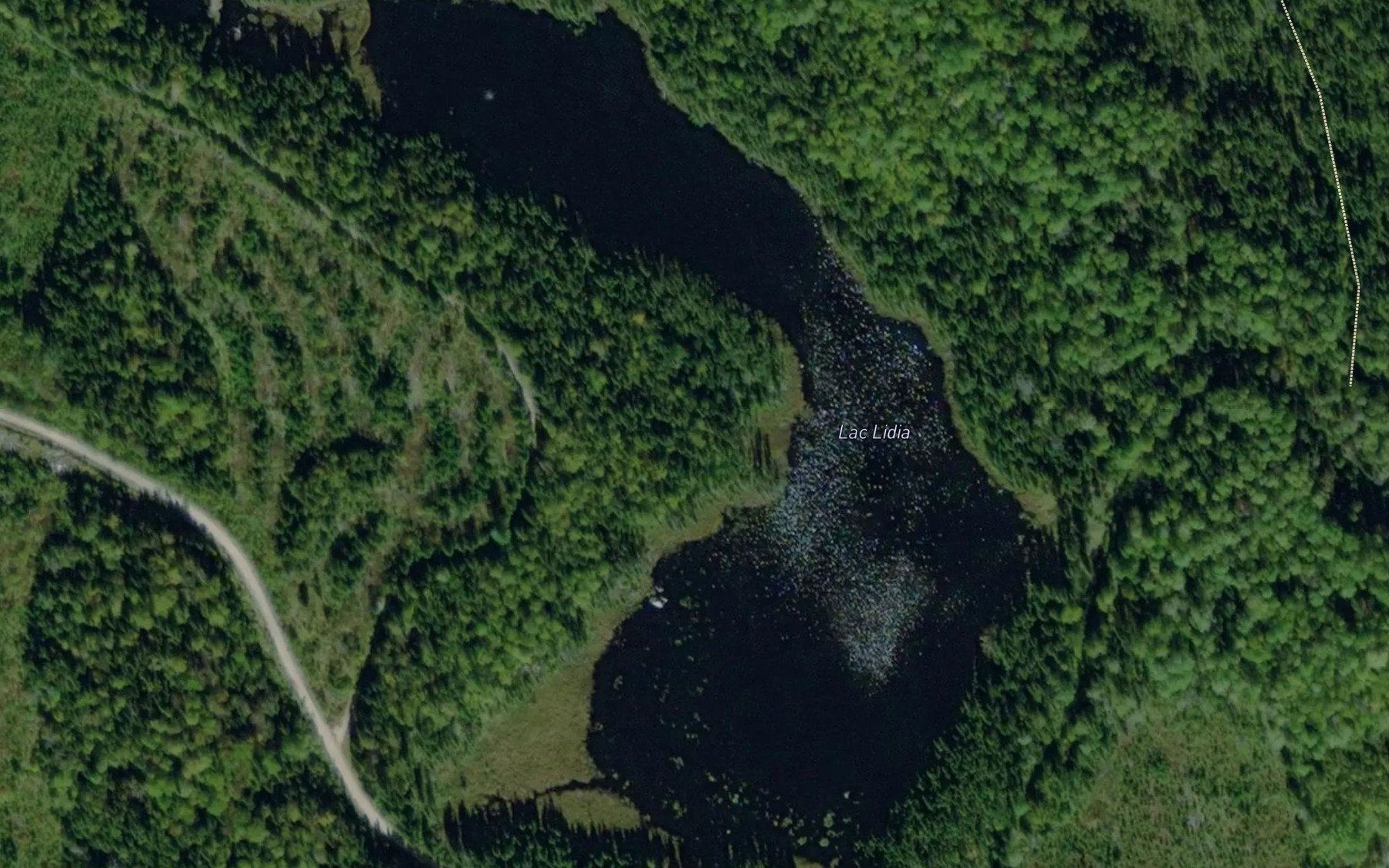 Satellite map of the Lac Lidia