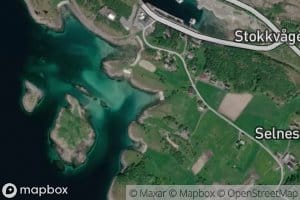 Versvika