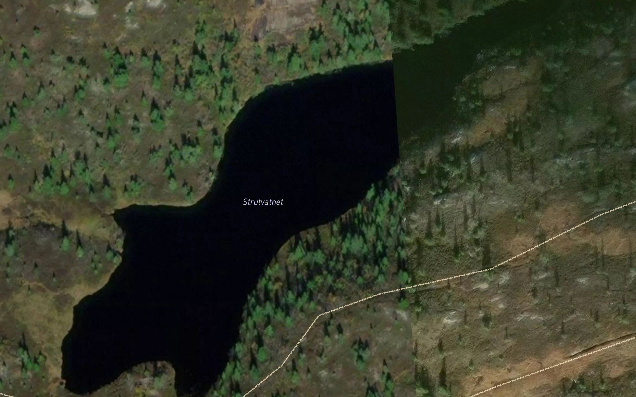 Strutvatnet