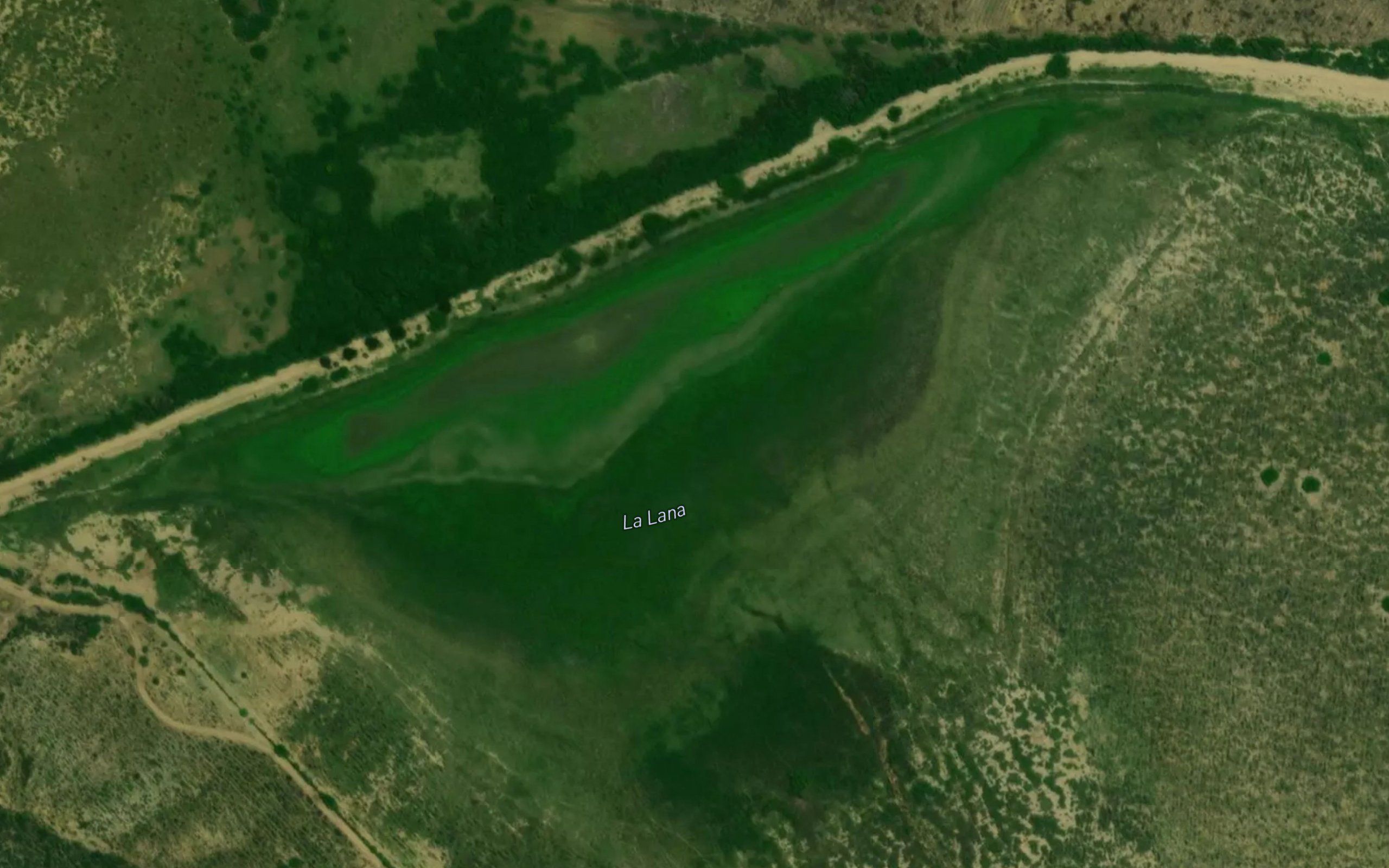 La Lana