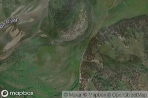 Domashnyaya Shonichi