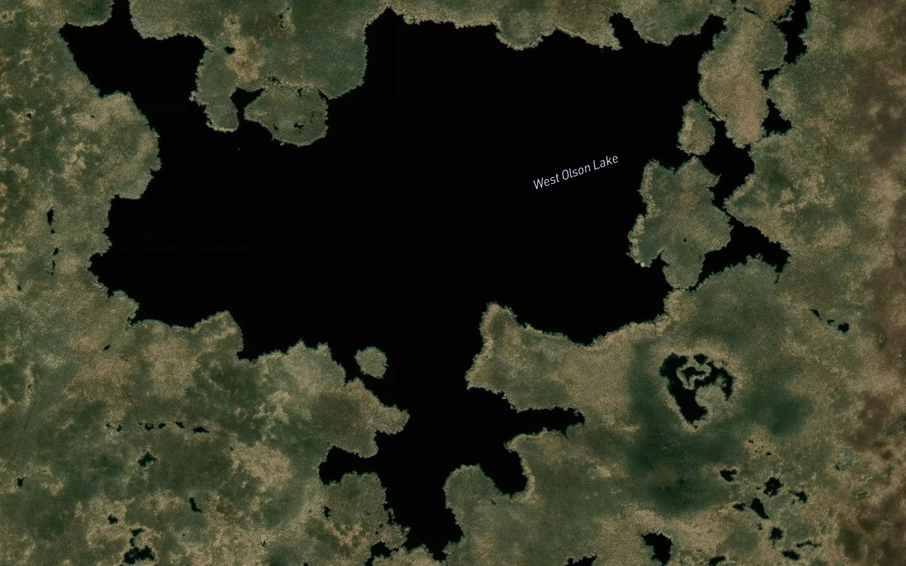 Satellite map of the West Olson Lake