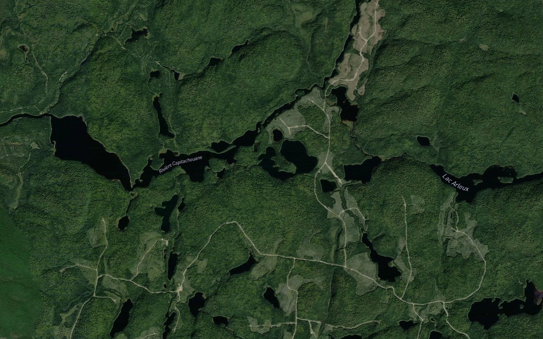 Satellite map of the Lac de l'Okapi