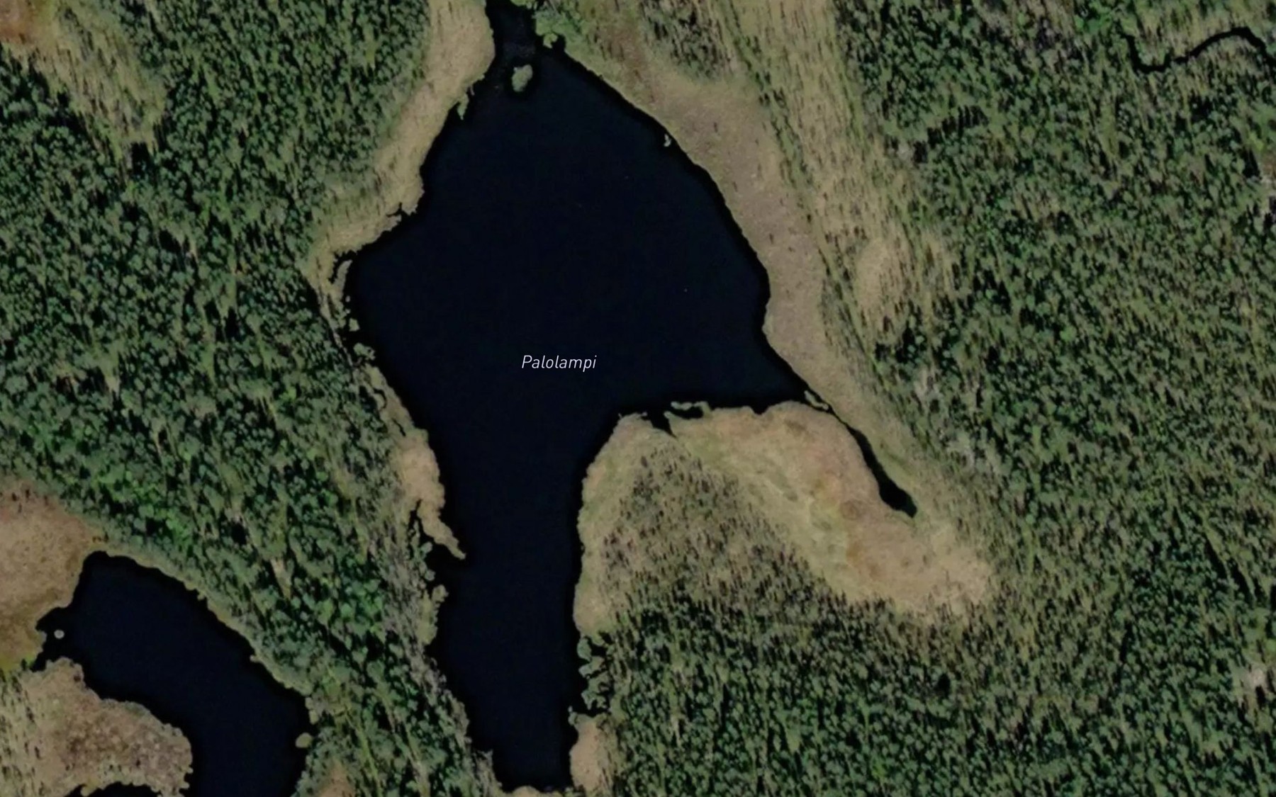 Satellite map of the Palolampi