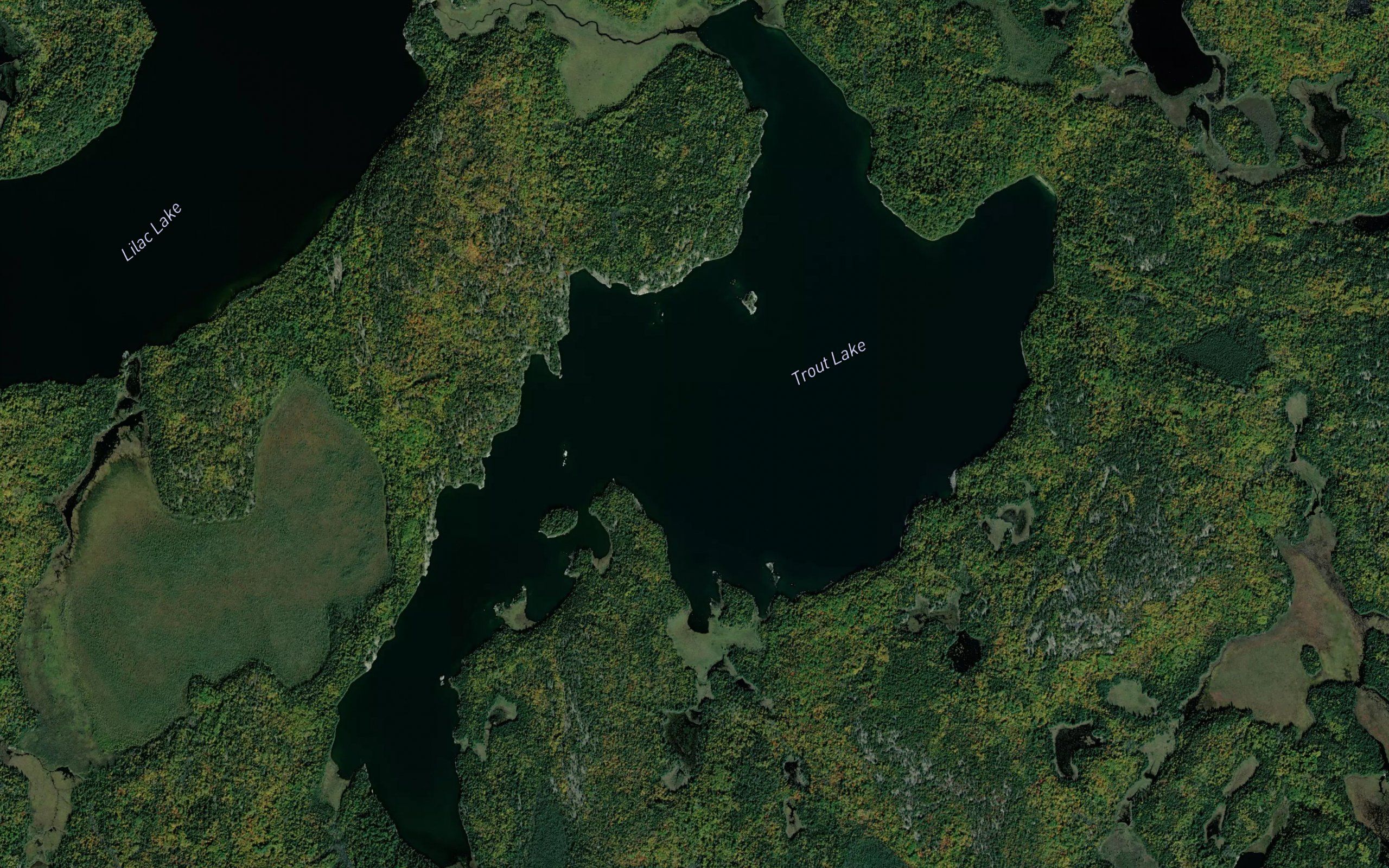 Trout Lake