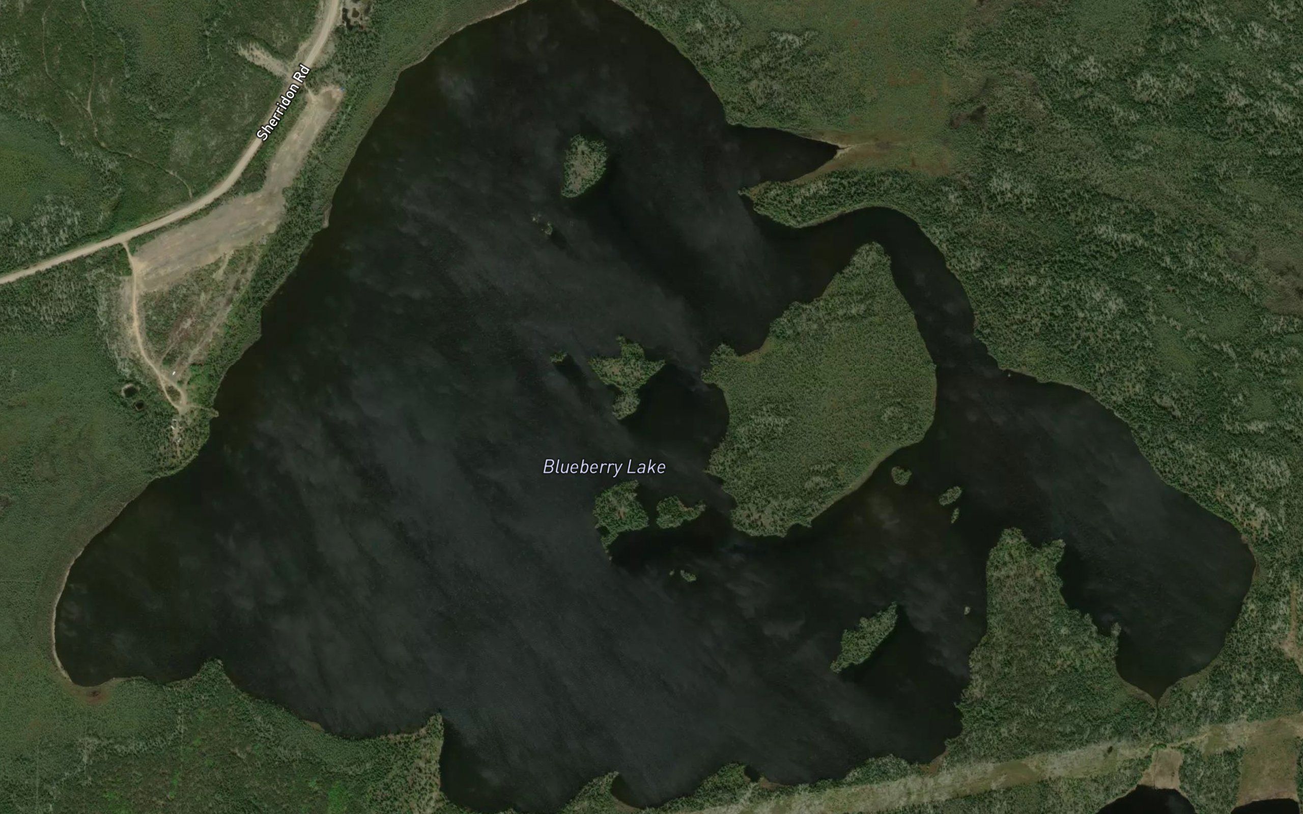 Blueberry Lake