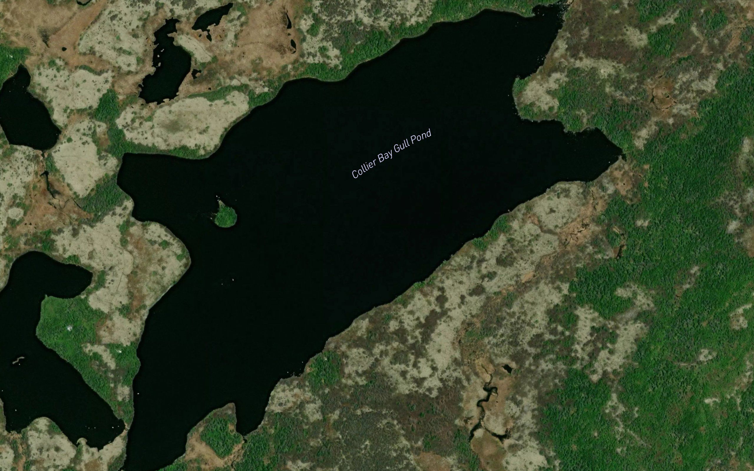 Collier Bay Gull Pond