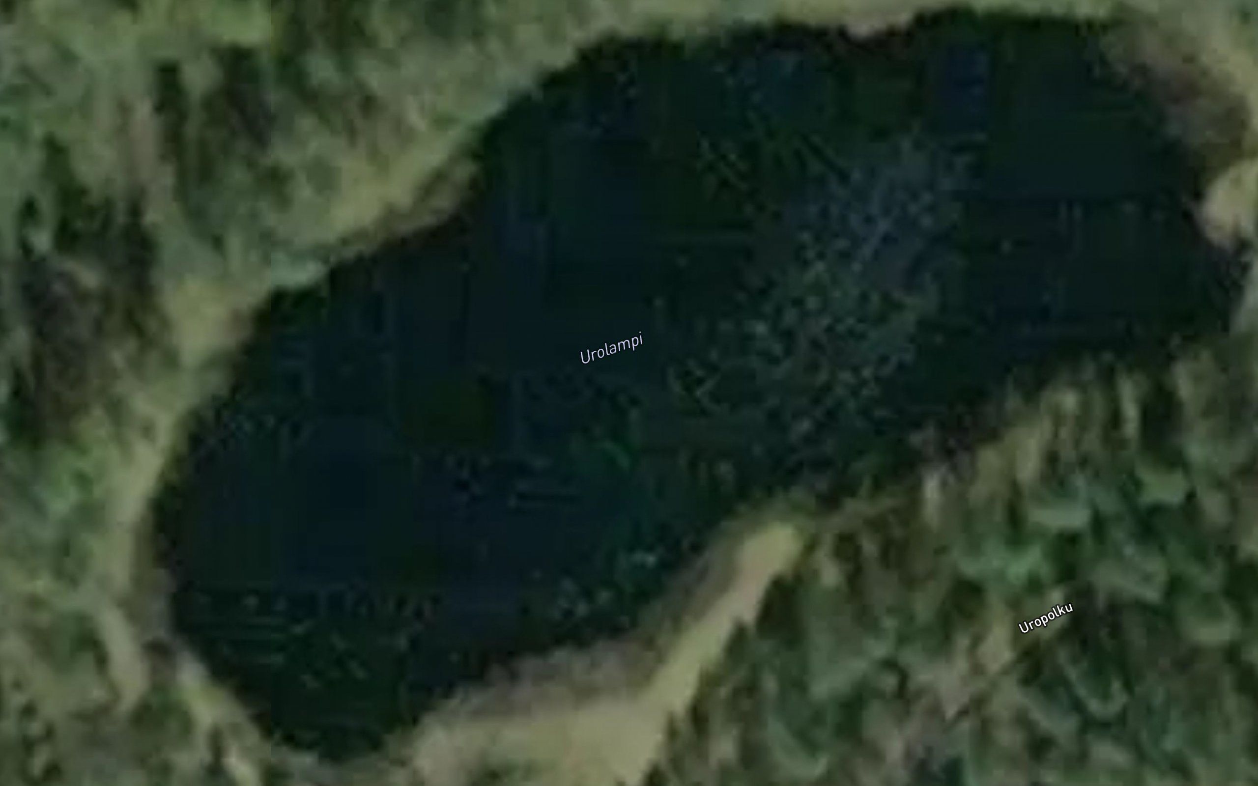 Urolampi