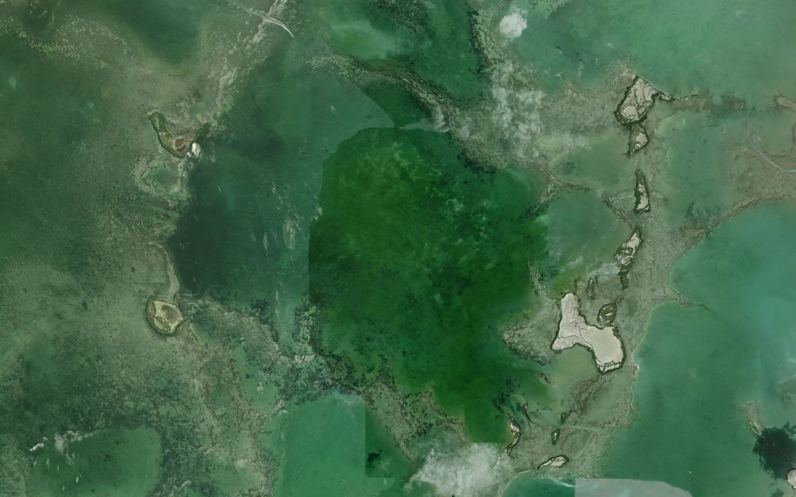Whipray Basin