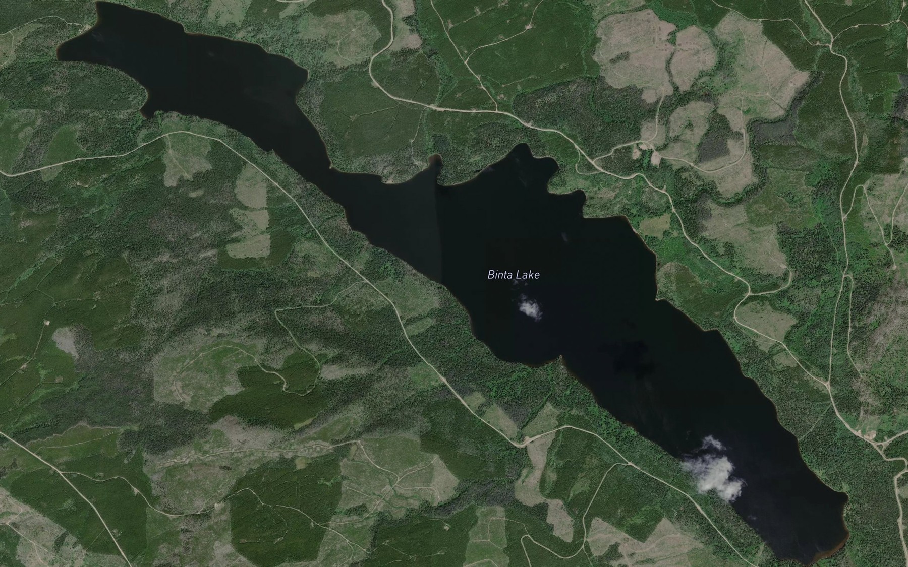 Satellite map of the Binta Lake