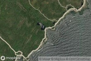 Fence Pond Brook