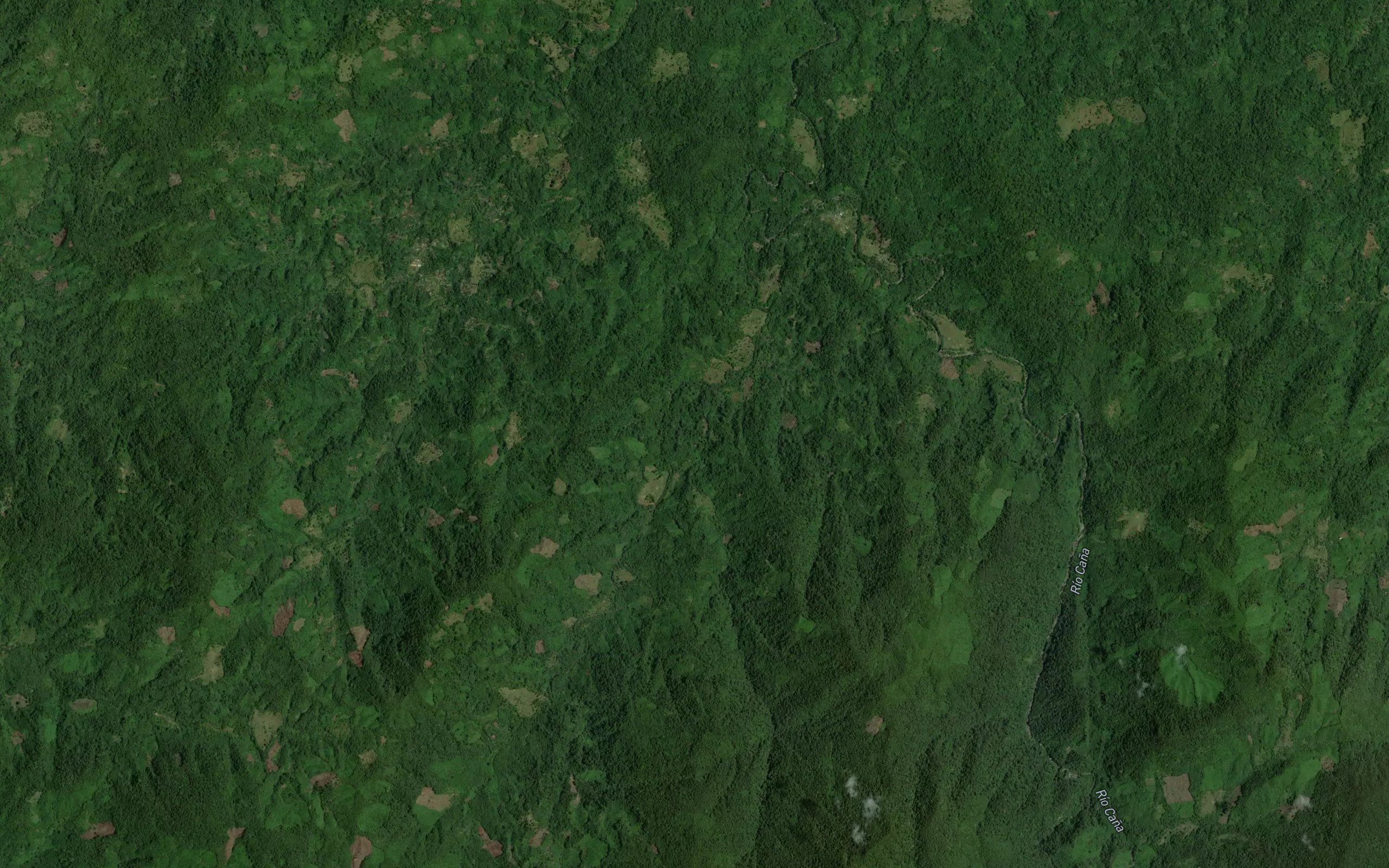 Rio Ruy