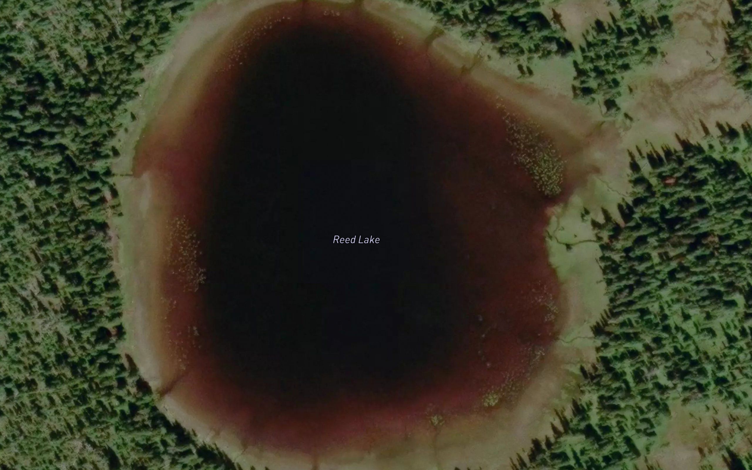 Reed Lake