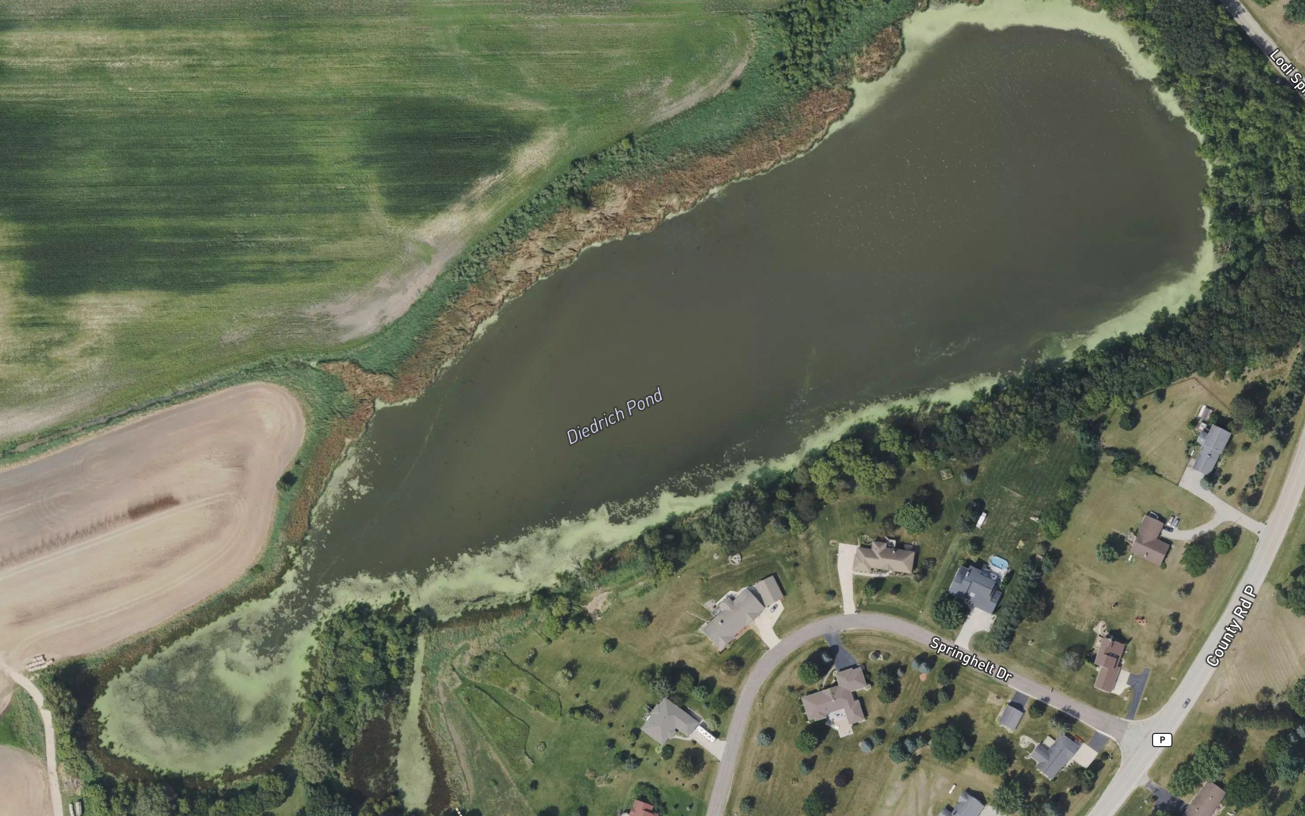 Diedrich Pond