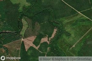 South Branch Miller Brook