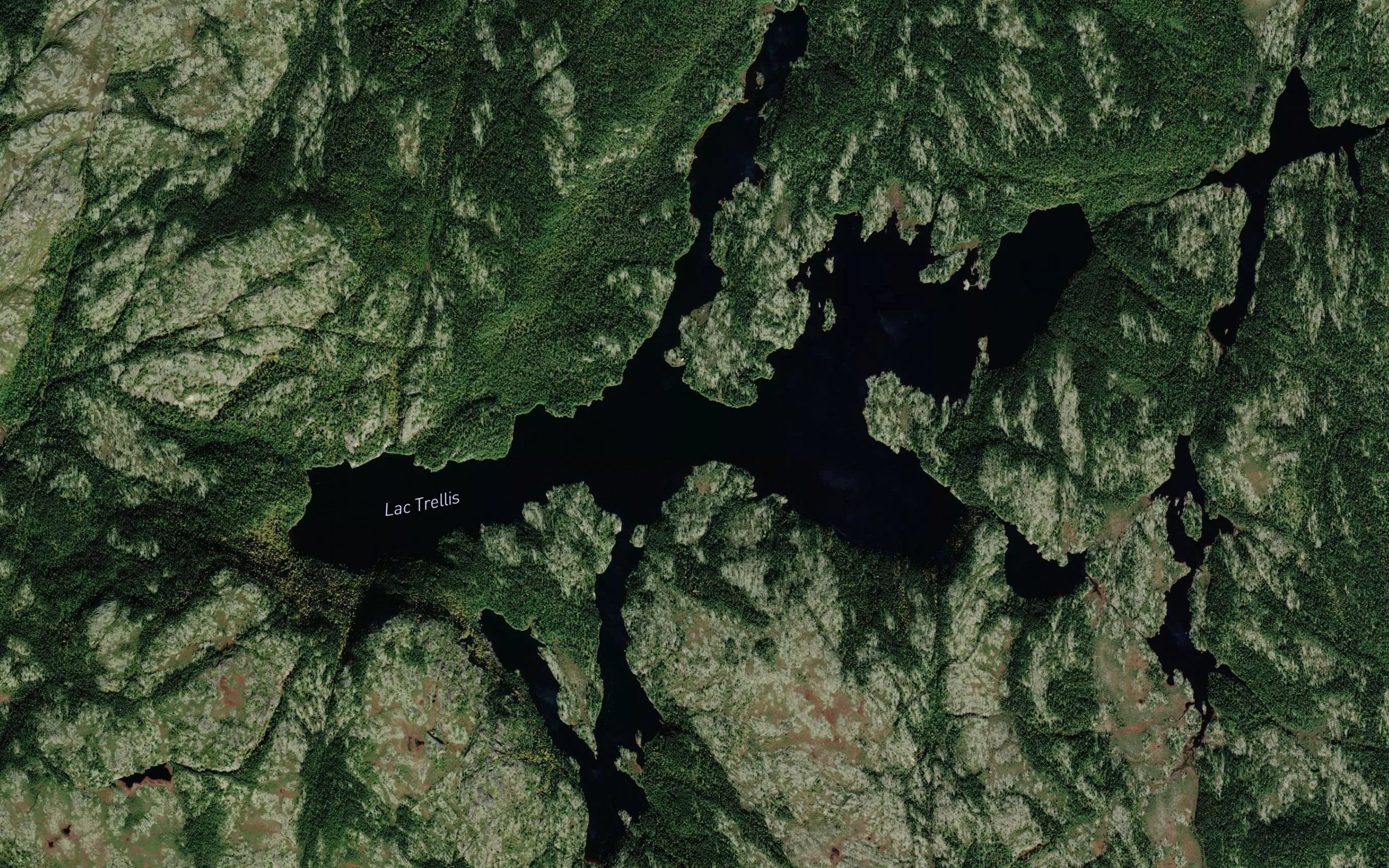 Lac Trellis