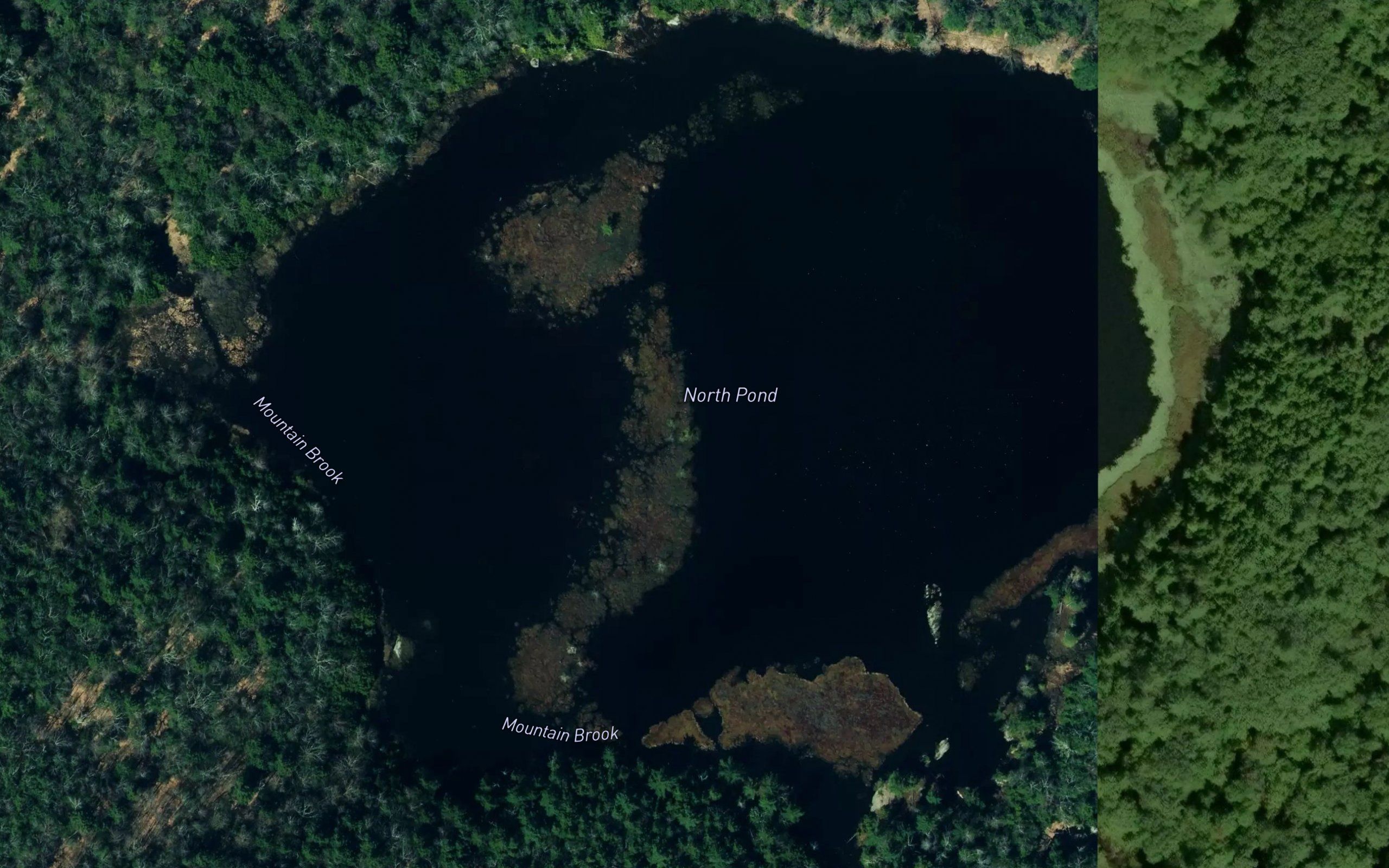 North Pond