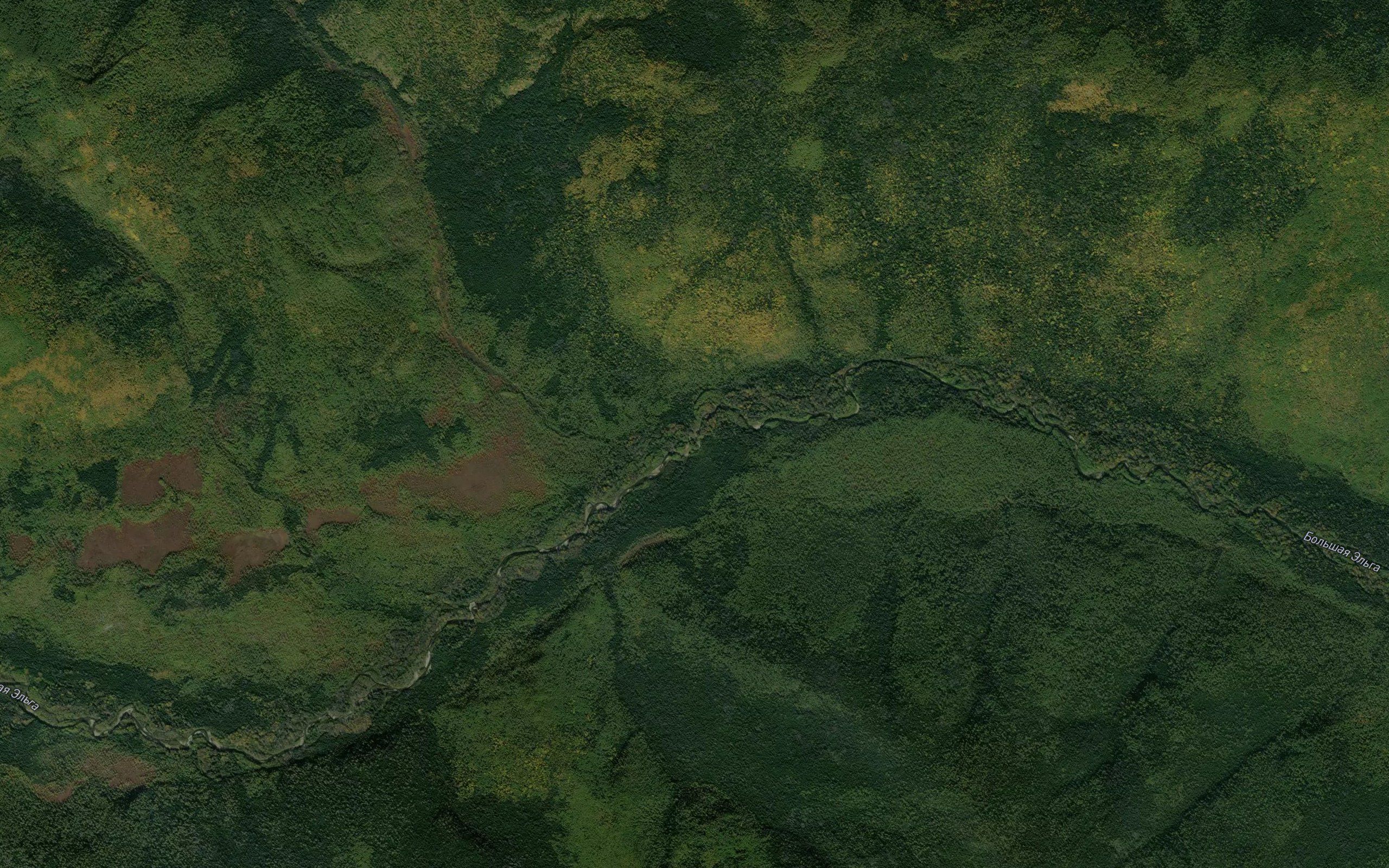 Borikan