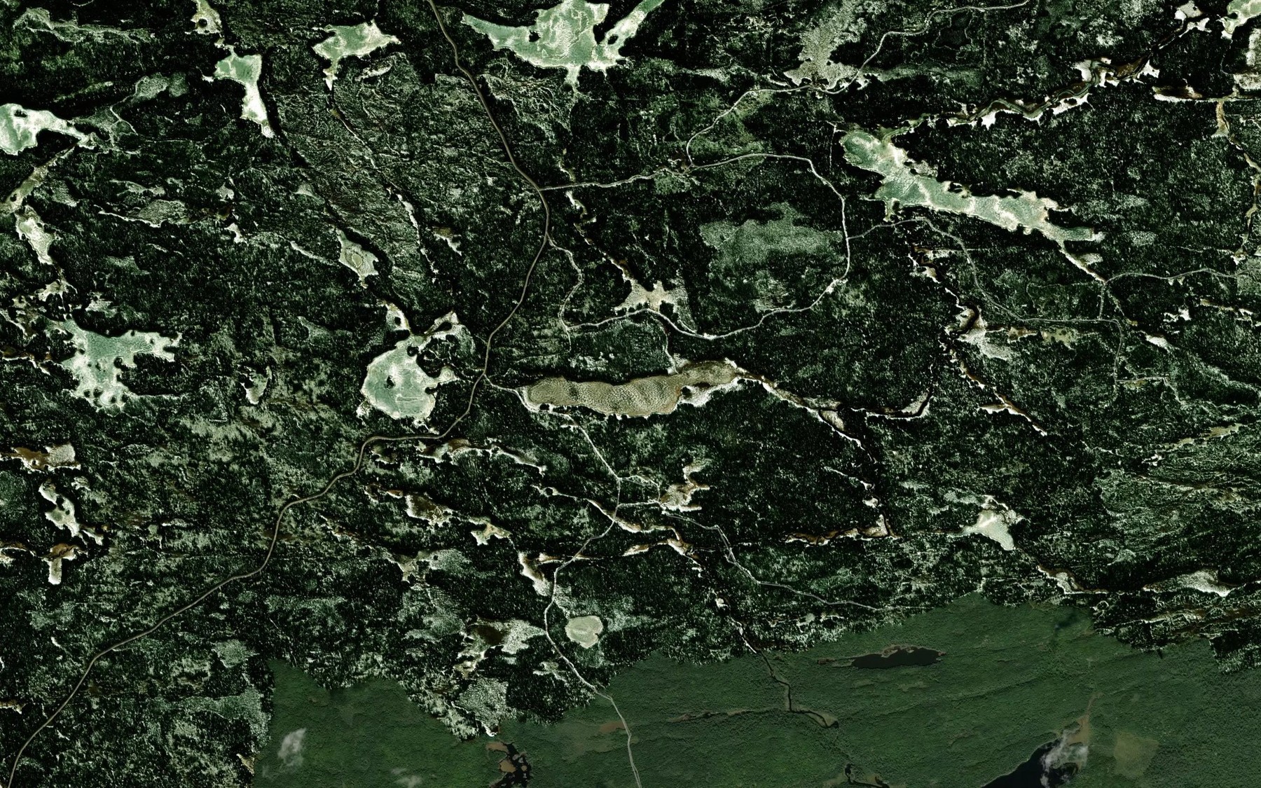 Satellite map of the Dinner Lake