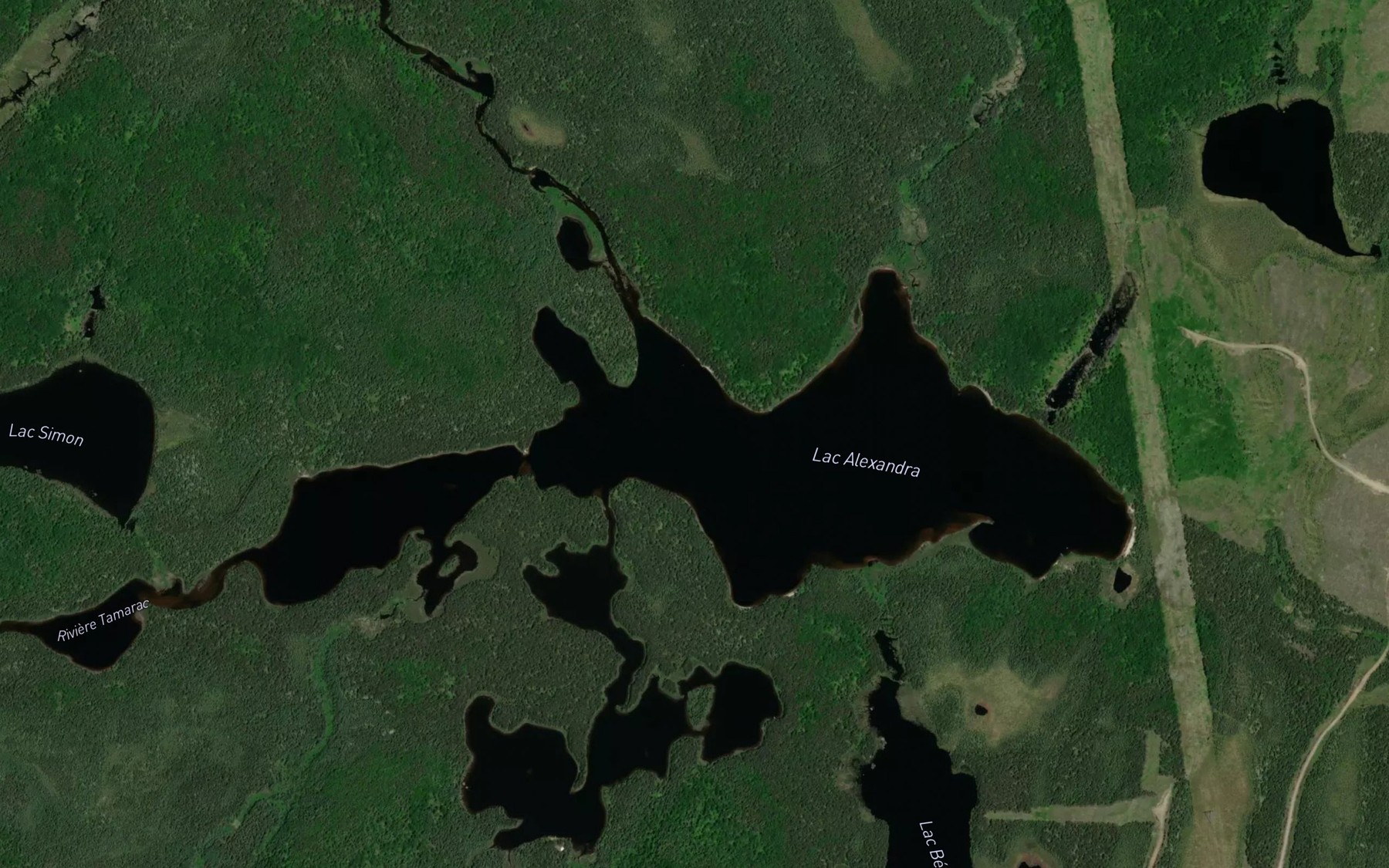 Satellite map of the Lac Alexandra