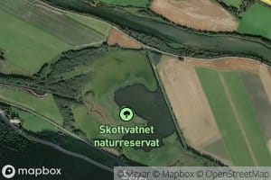 Skoftvatnet