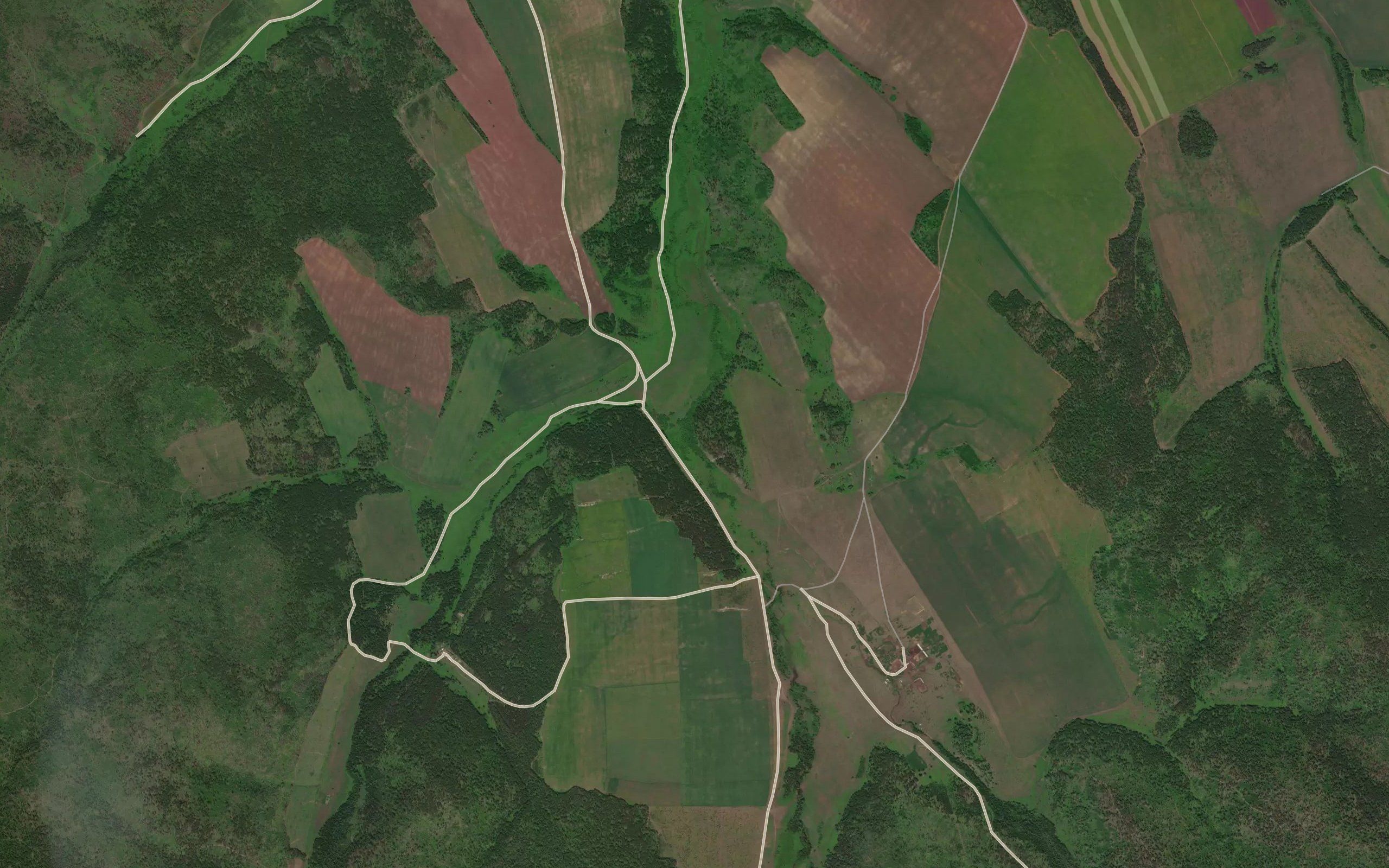 Saksota