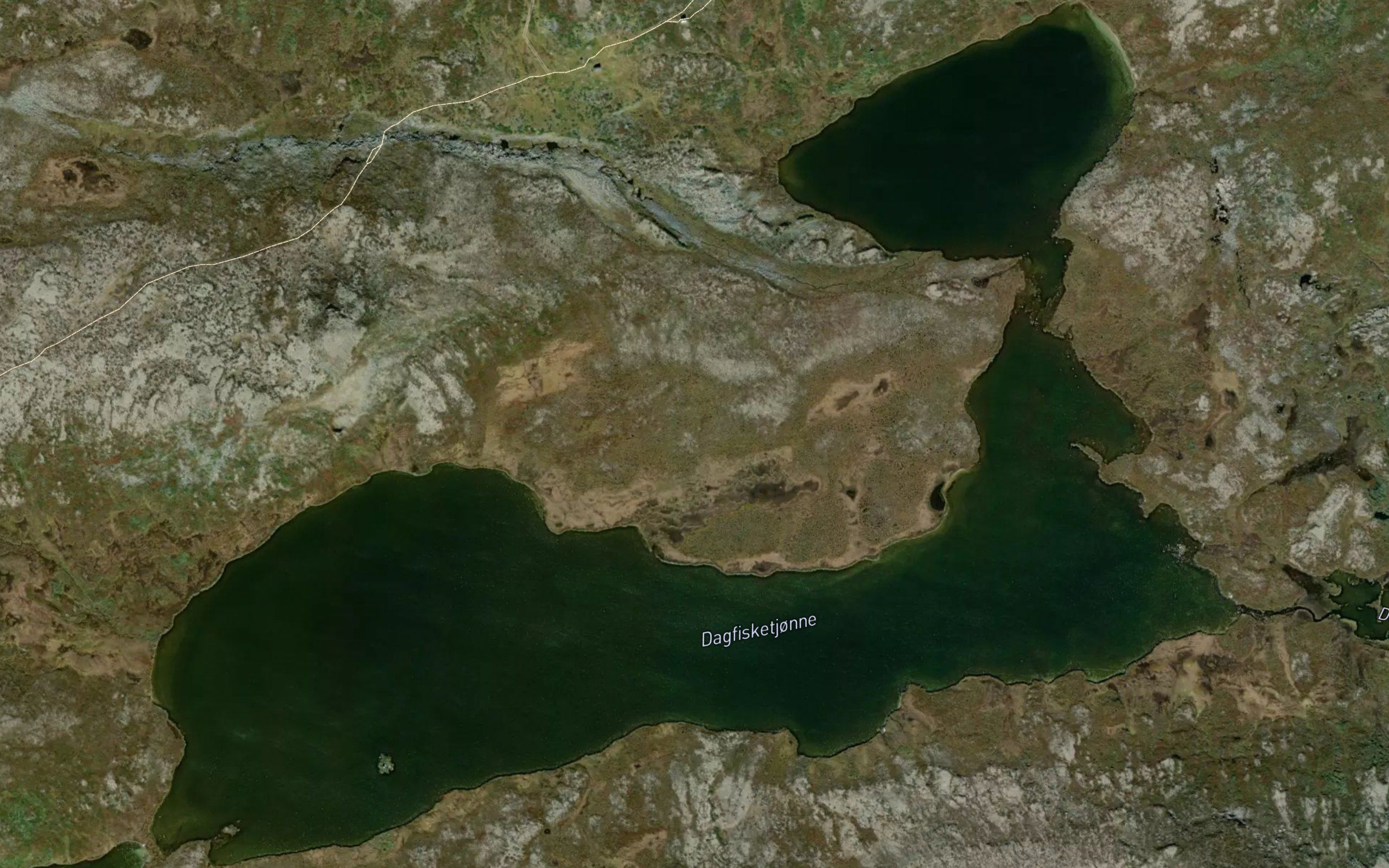 Dagfisketjonne