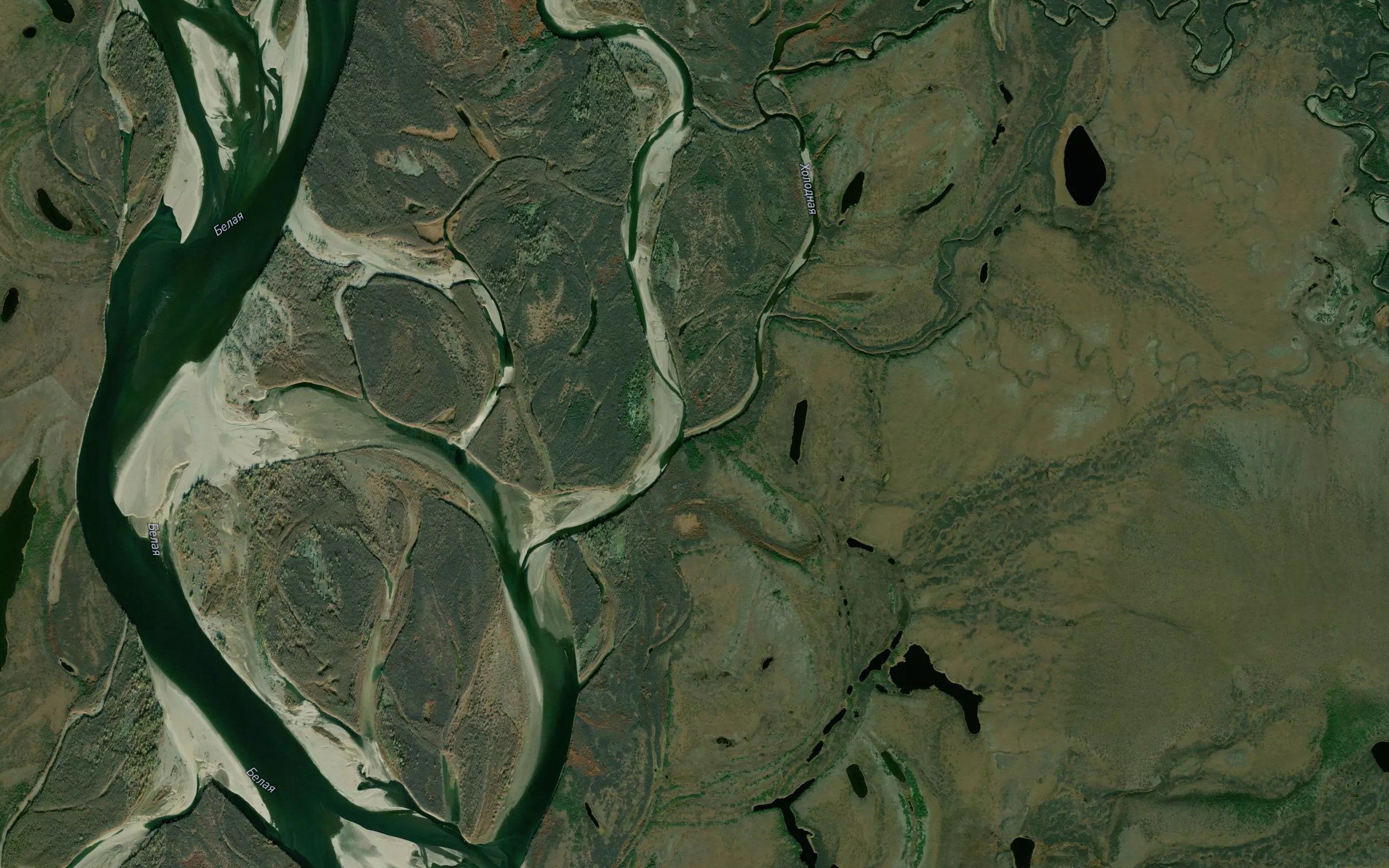 Ledyanaya