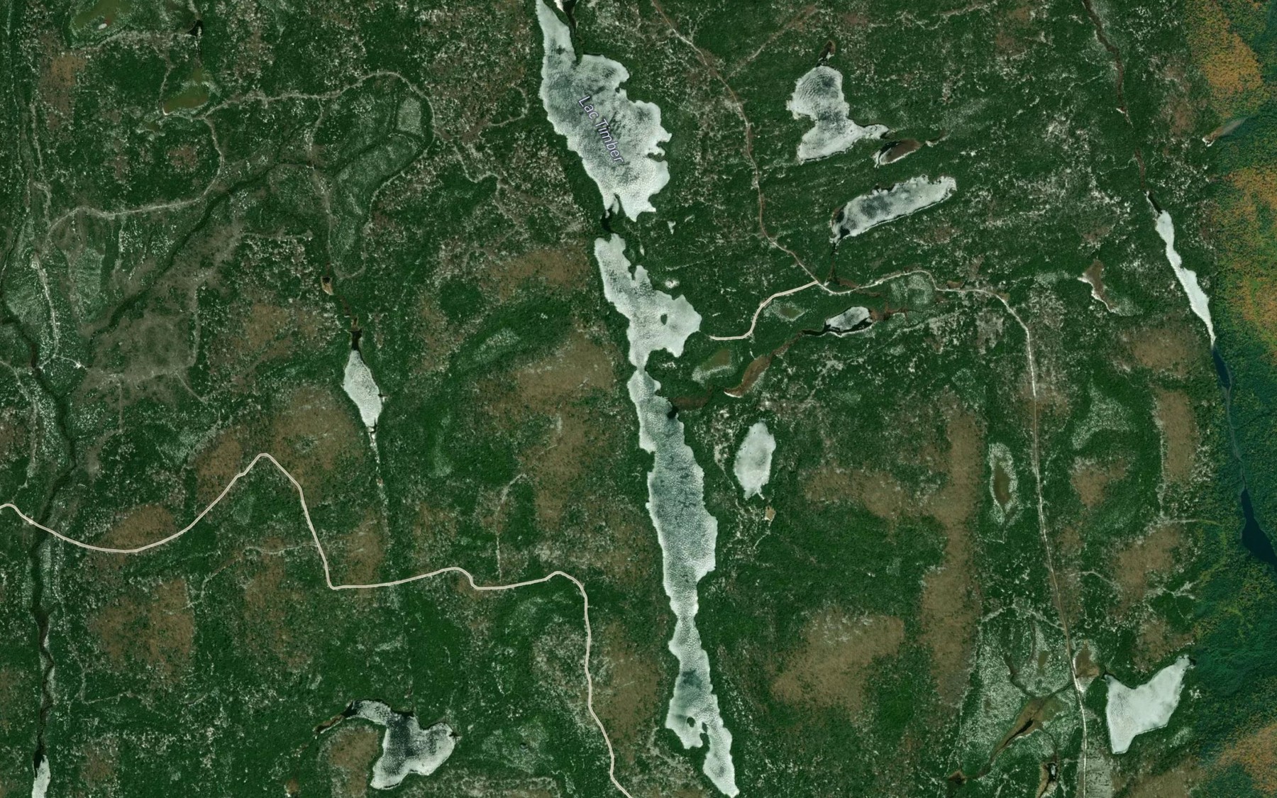 Satellite map of the Lac Timber