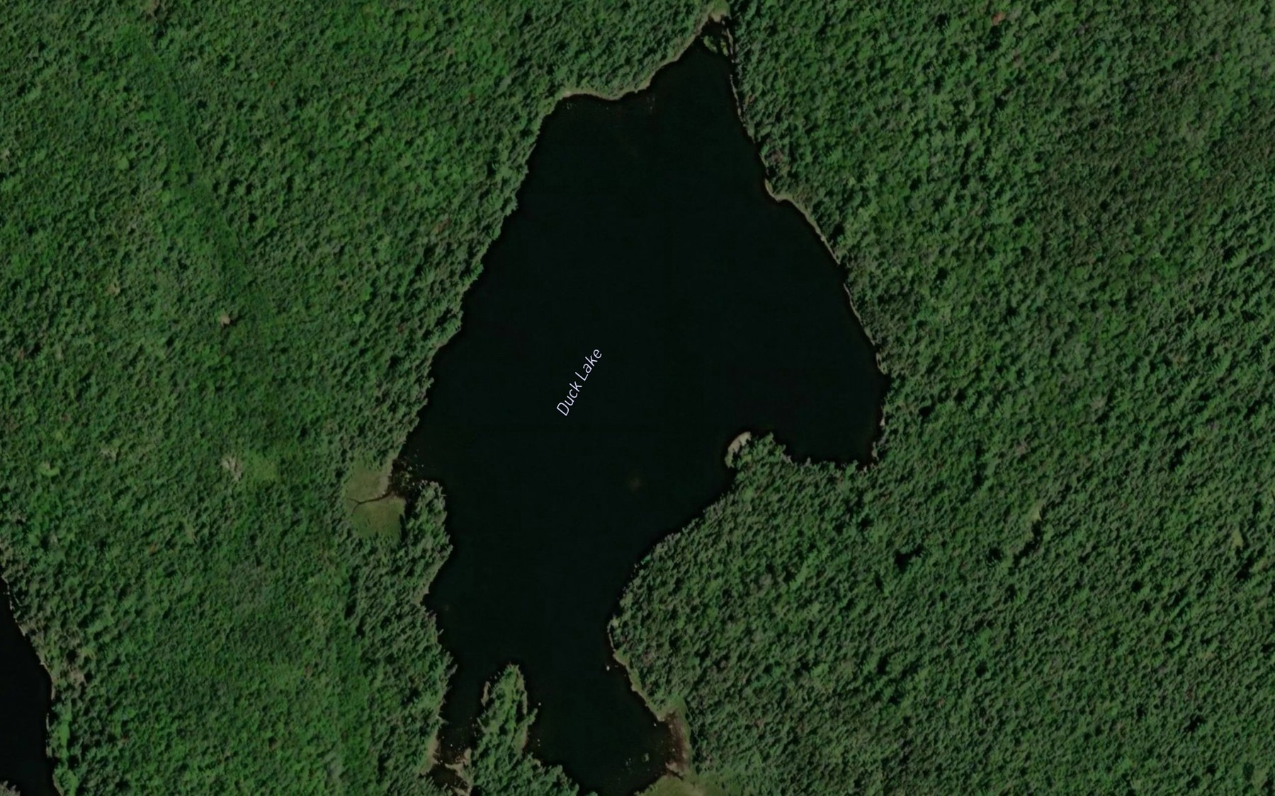 Satellite map of the Duck Lake