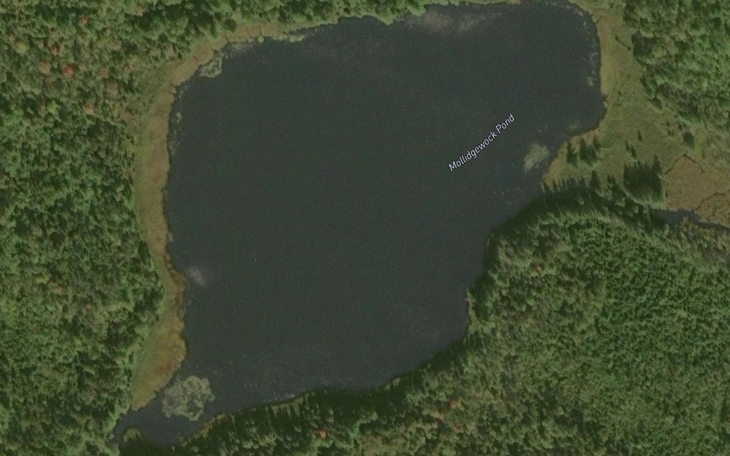 Mollidgewock Pond