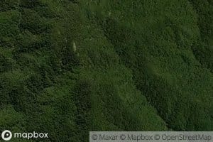 Te Whakapaiote tau ponaihu Stream