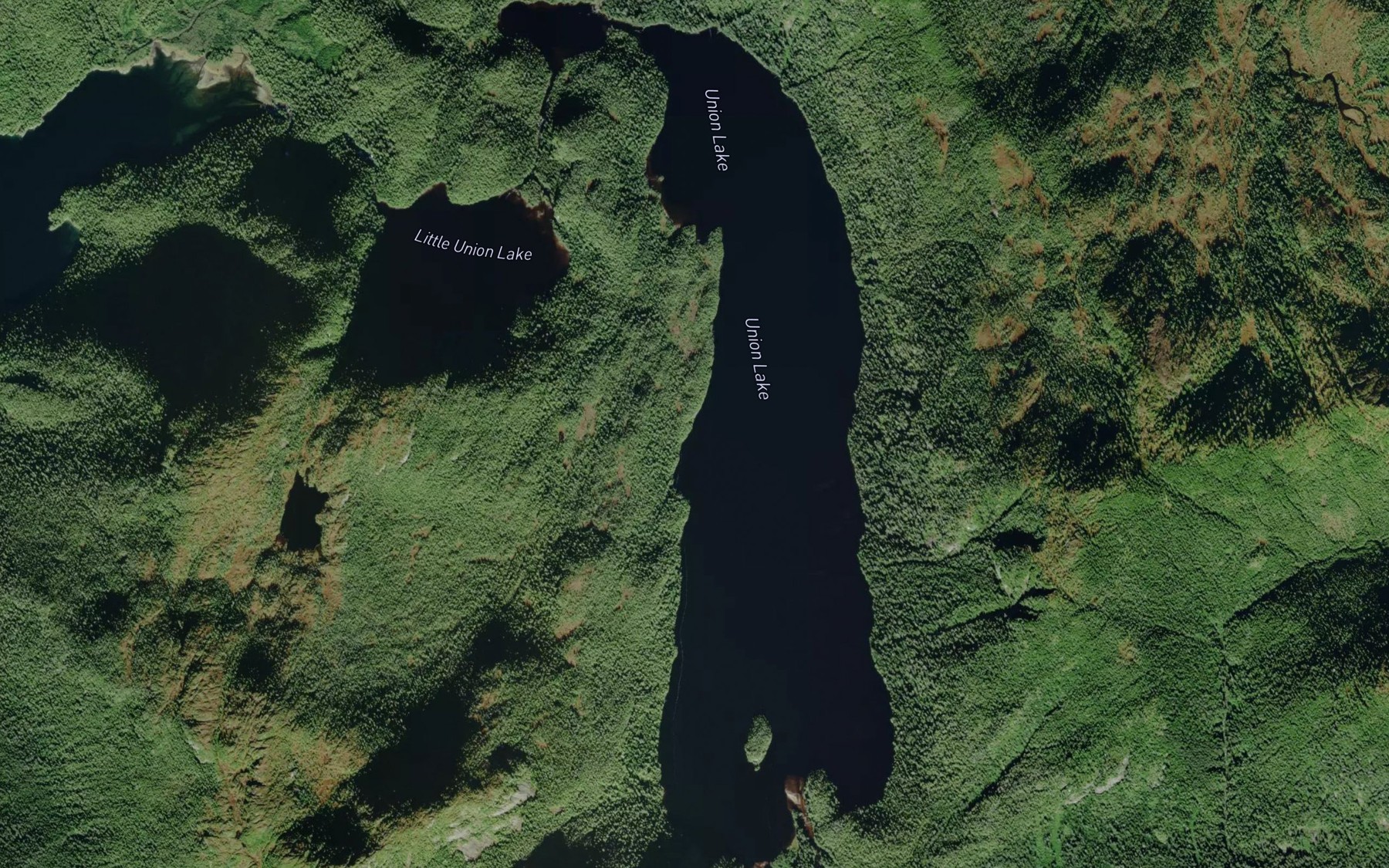 Satellite map of the Union Lake