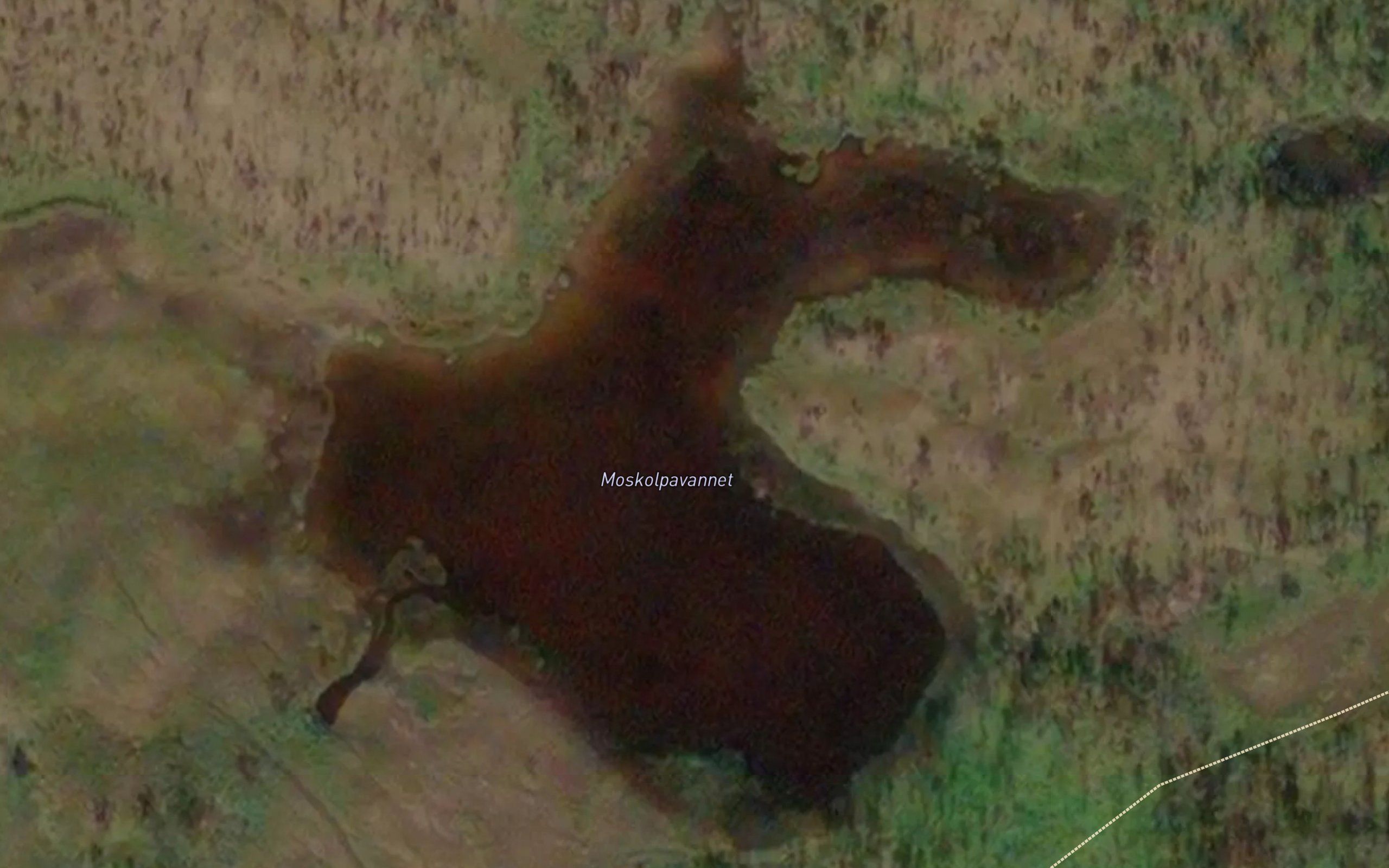 Moskolpavannet