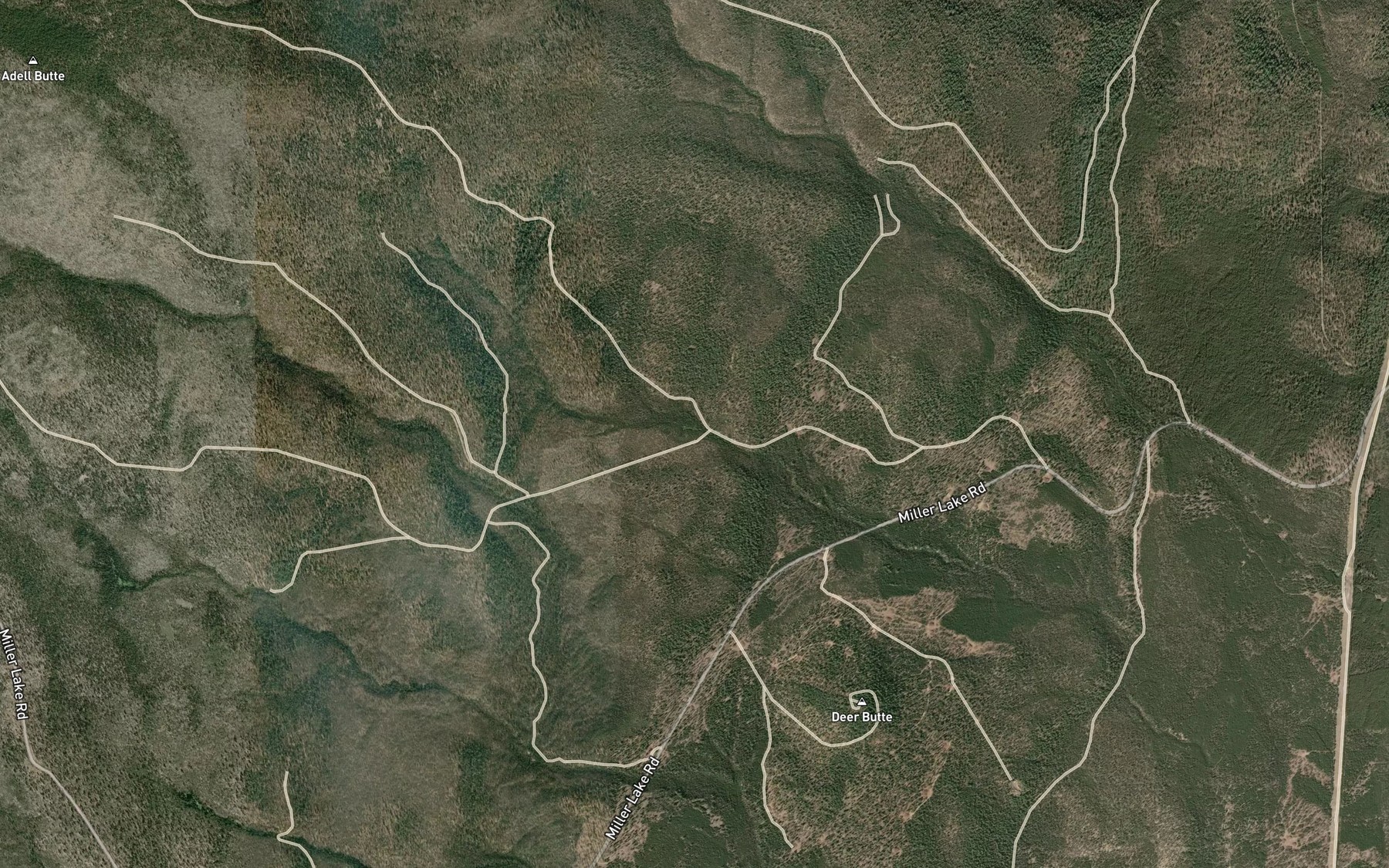 Satellite map of the Red Cone Spring