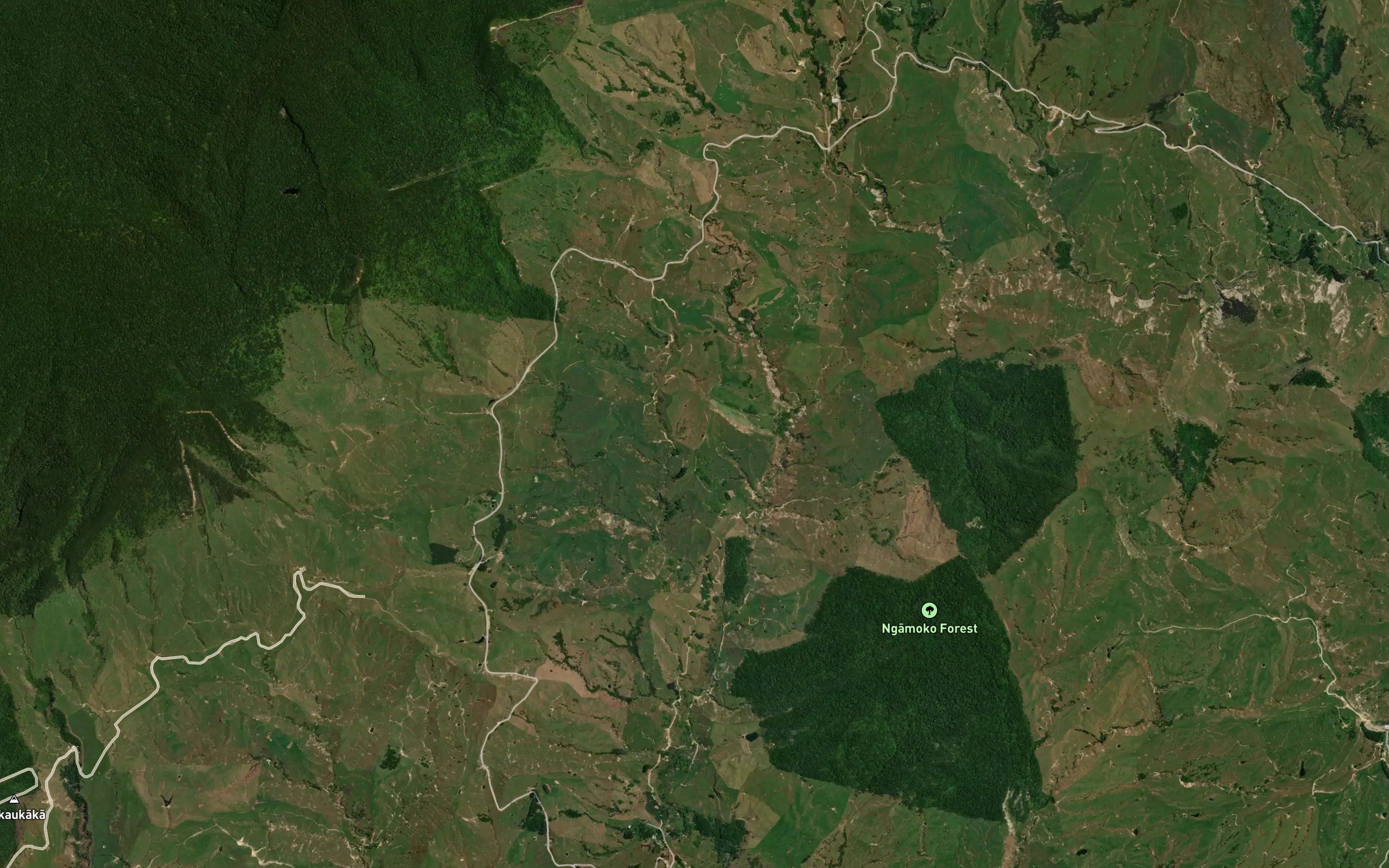 Whataroa Stream
